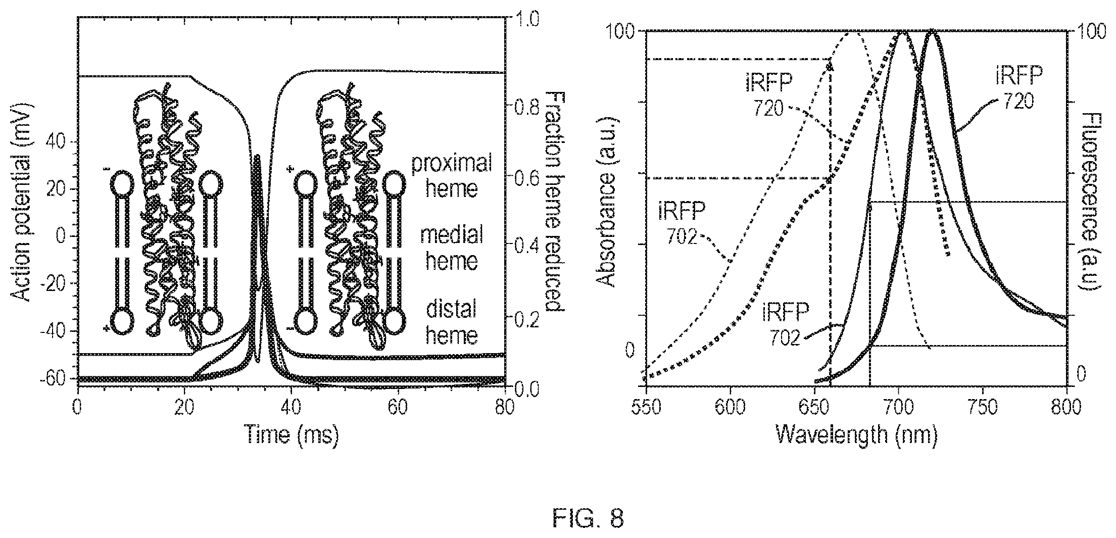 Patent US11814412 Figure 8 – Artificial proteins and compositions and methods thereof
