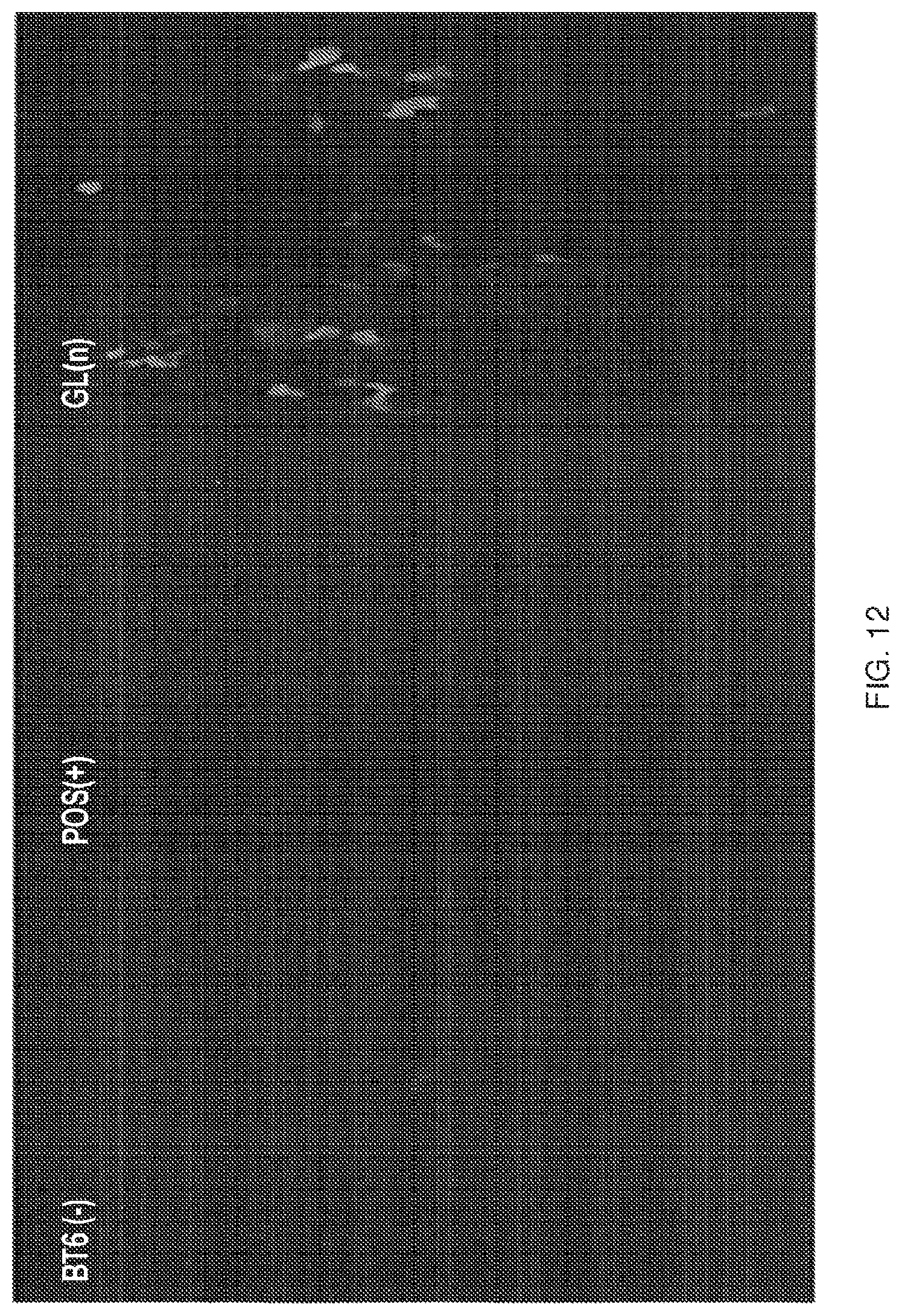 Patent US11814412 Figure 12 – Artificial proteins and compositions and methods thereof