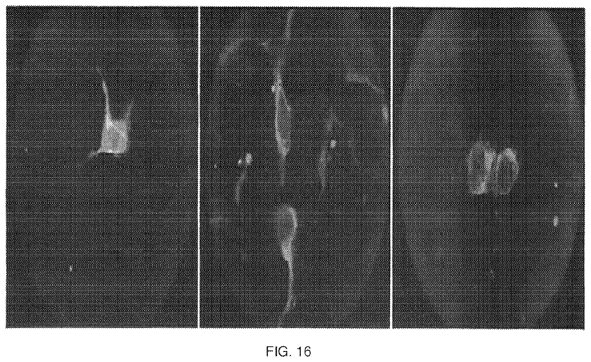 Patent US11814412 Figure 16 – Artificial proteins and compositions and methods thereof