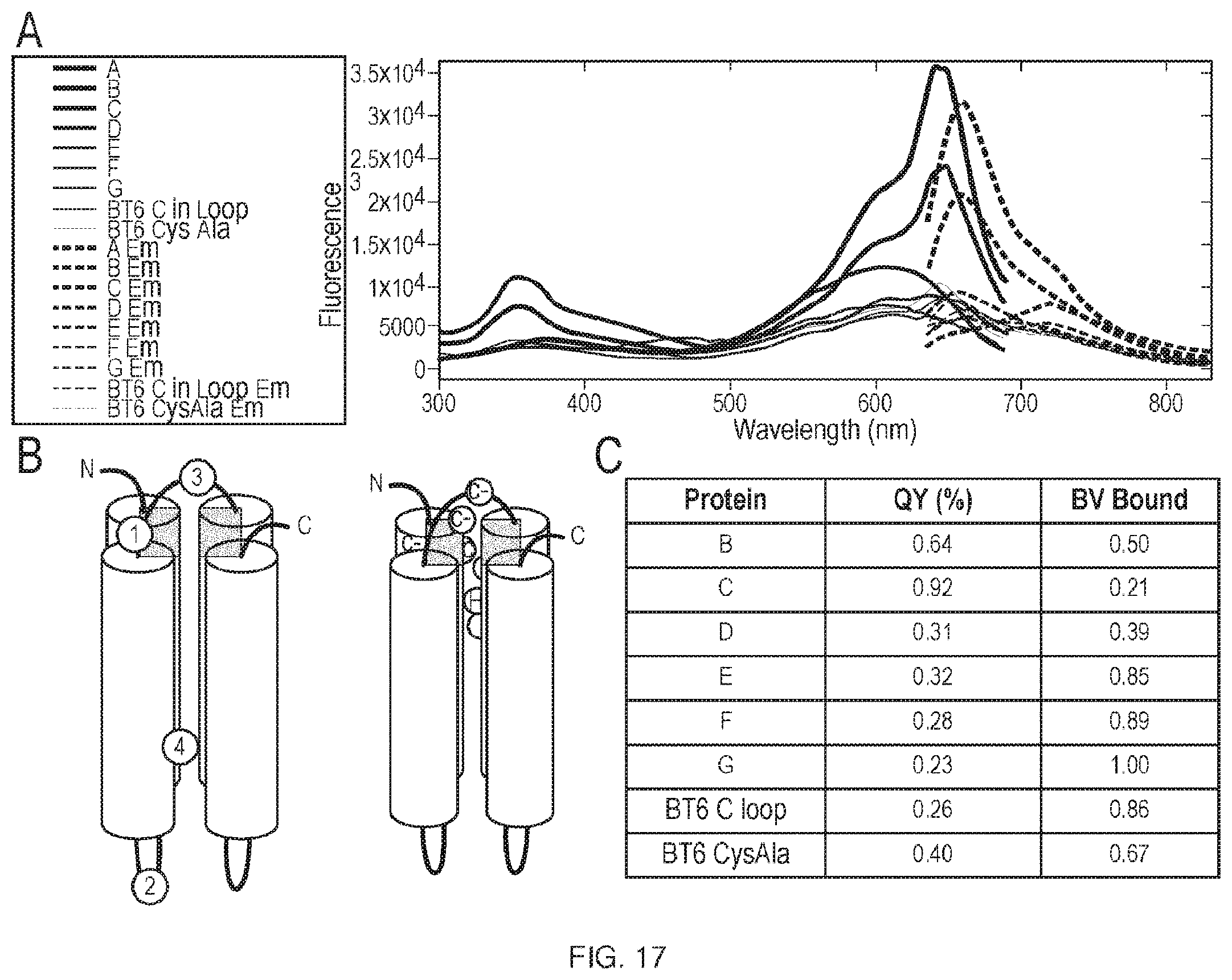 Patent US11814412 Figure 17 – Artificial proteins and compositions and methods thereof