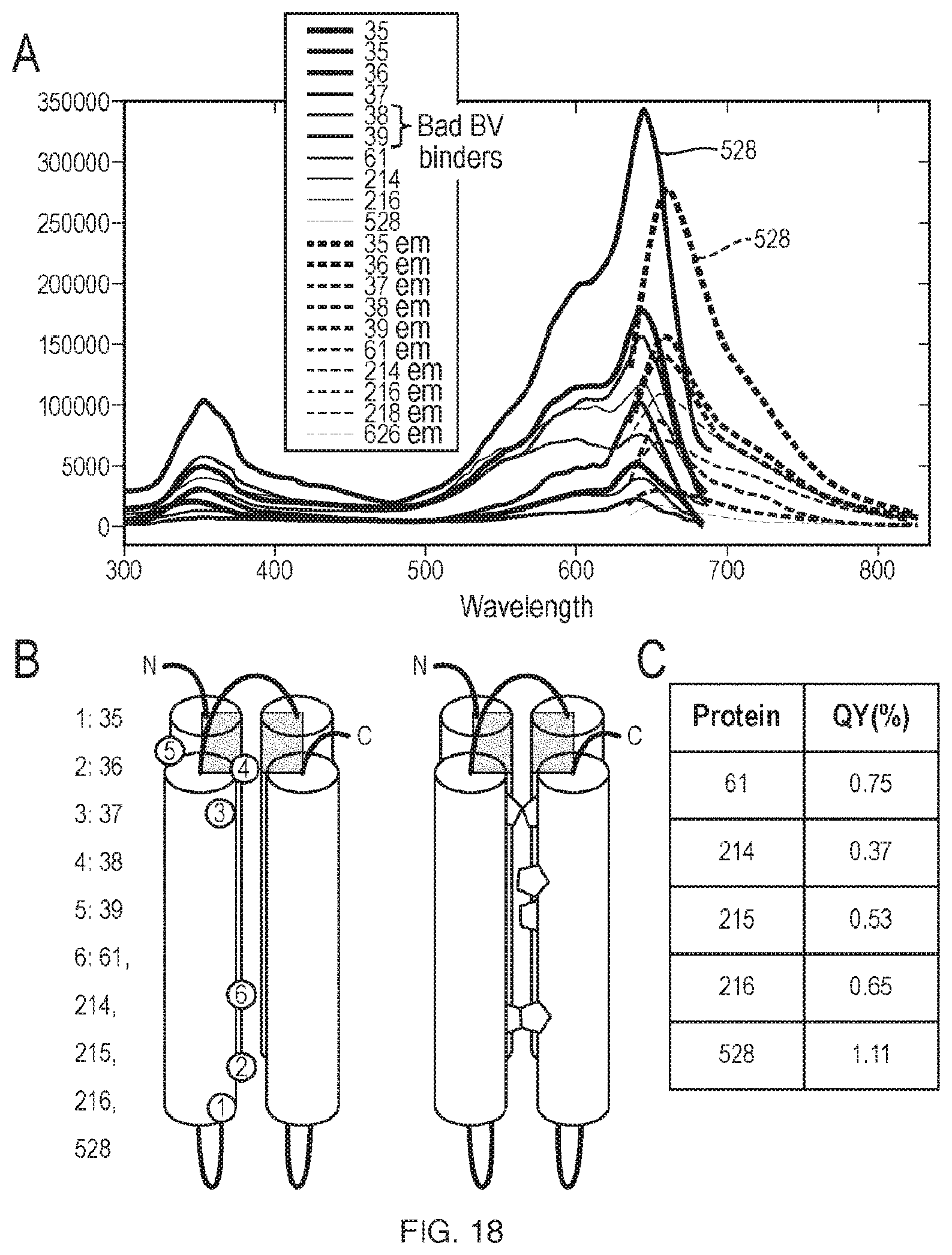 Patent US11814412 Figure 18 – Artificial proteins and compositions and methods thereof