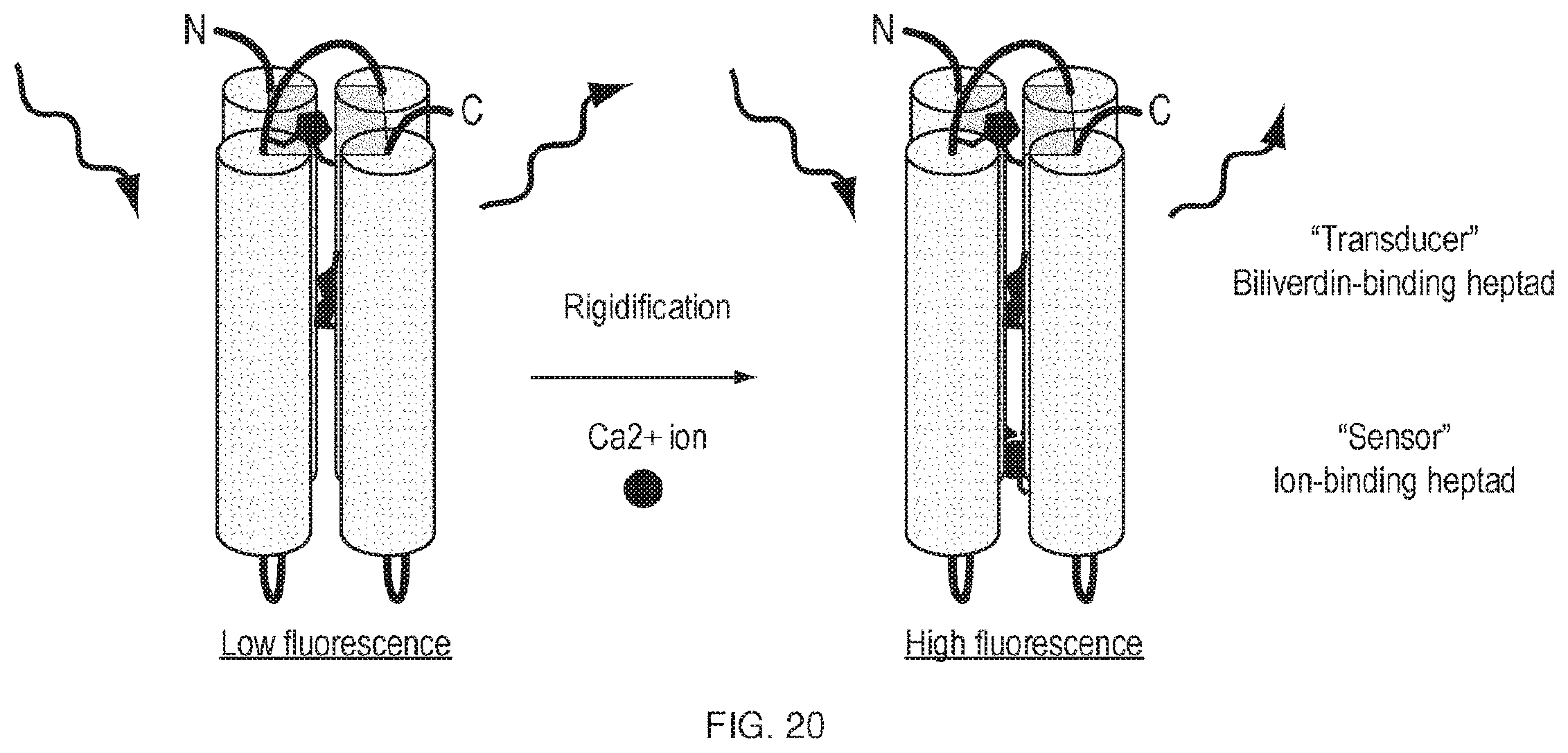 Patent US11814412 Figure 20 – Artificial proteins and compositions and methods thereof