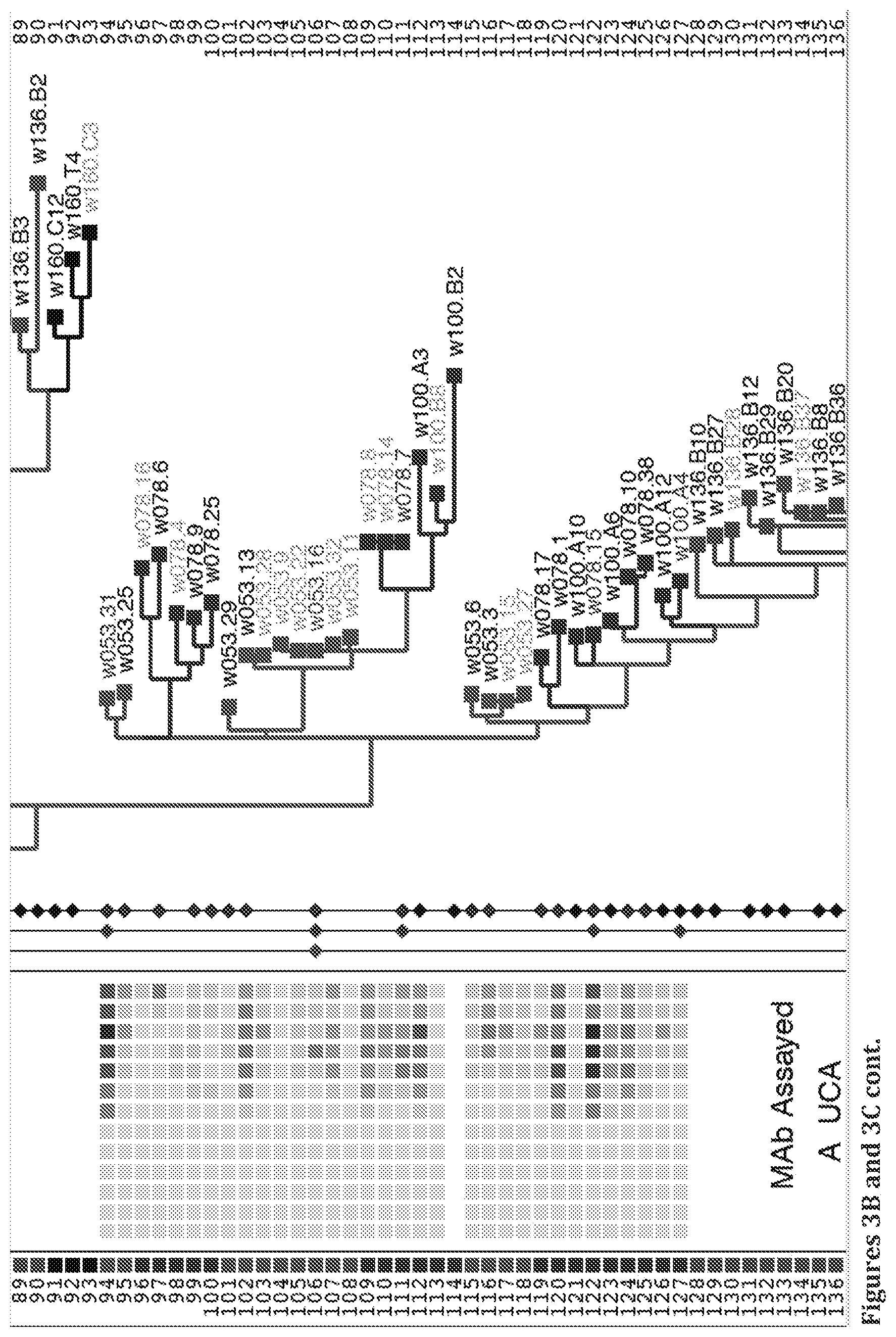 Patent US11814413 Figure 16 – Compositions comprising modified HIV envelopes
