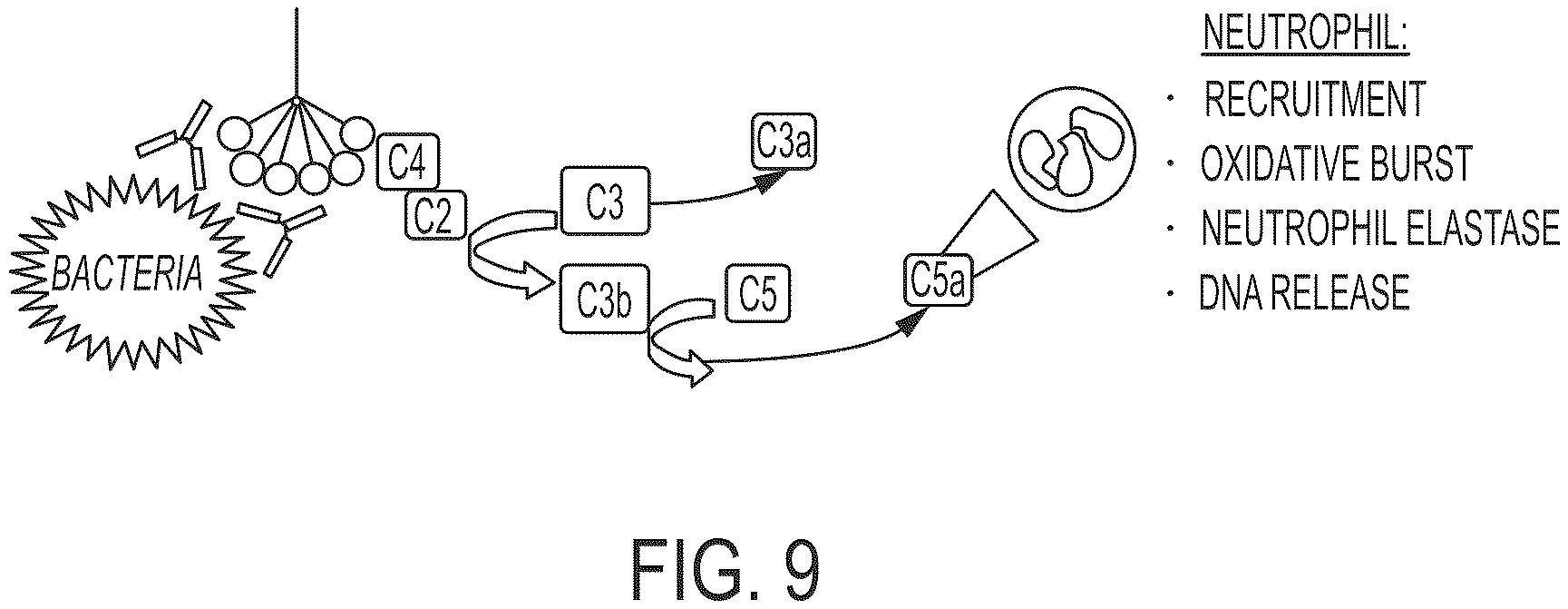 Patent US11814414 Figure 10 – Synthetic peptide compounds and methods of use