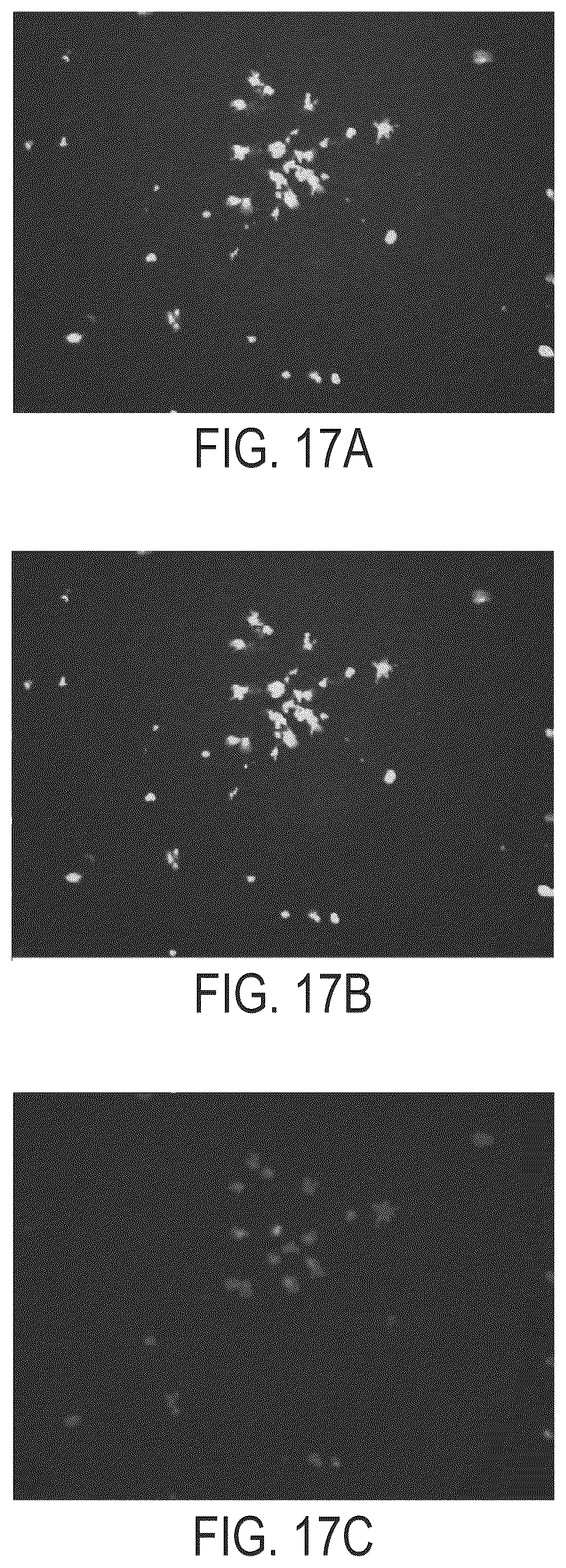 Patent US11814414 Figure 18 – Synthetic peptide compounds and methods of use