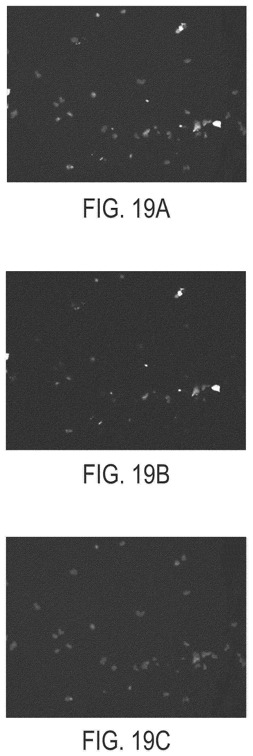 Patent US11814414 Figure 20 – Synthetic peptide compounds and methods of use