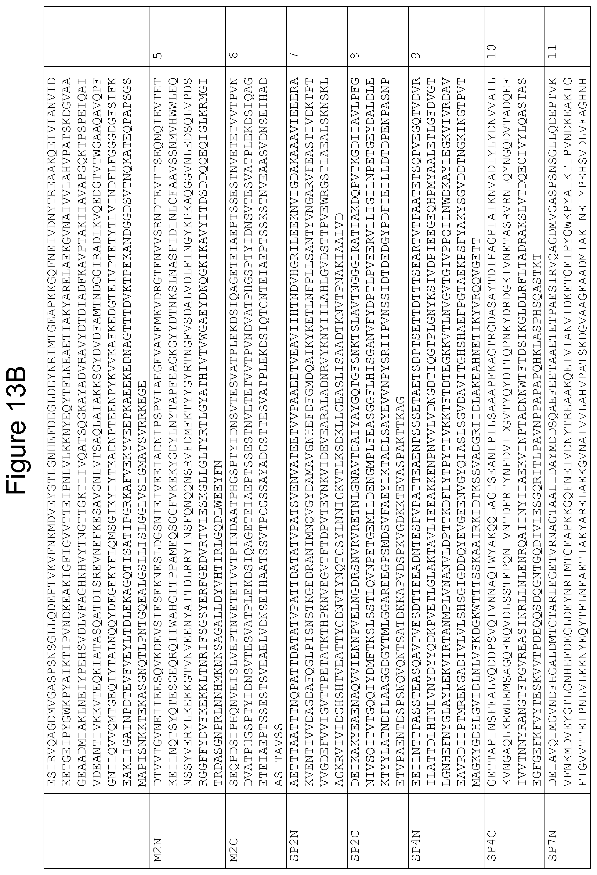 Patent US11814415 Figure 19 – Vaccine against S. suis infection