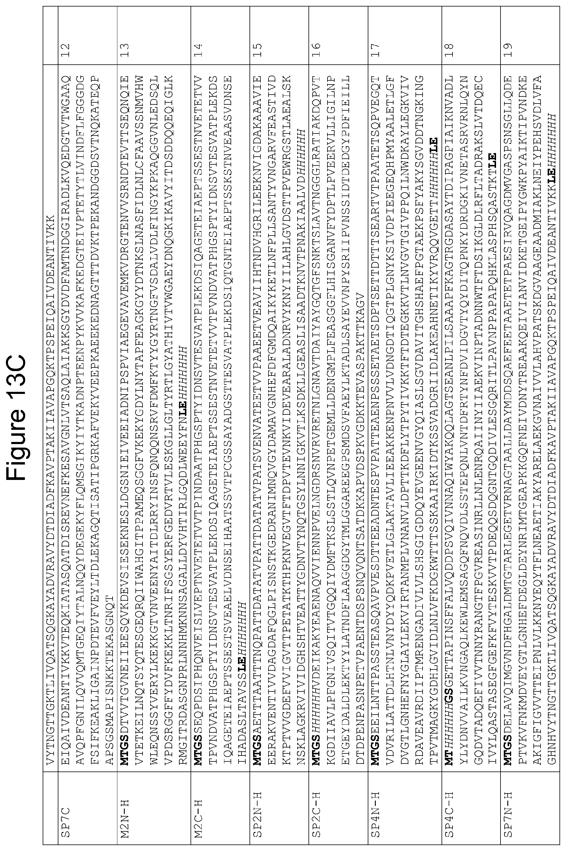 Patent US11814415 Figure 20 – Vaccine against S. suis infection