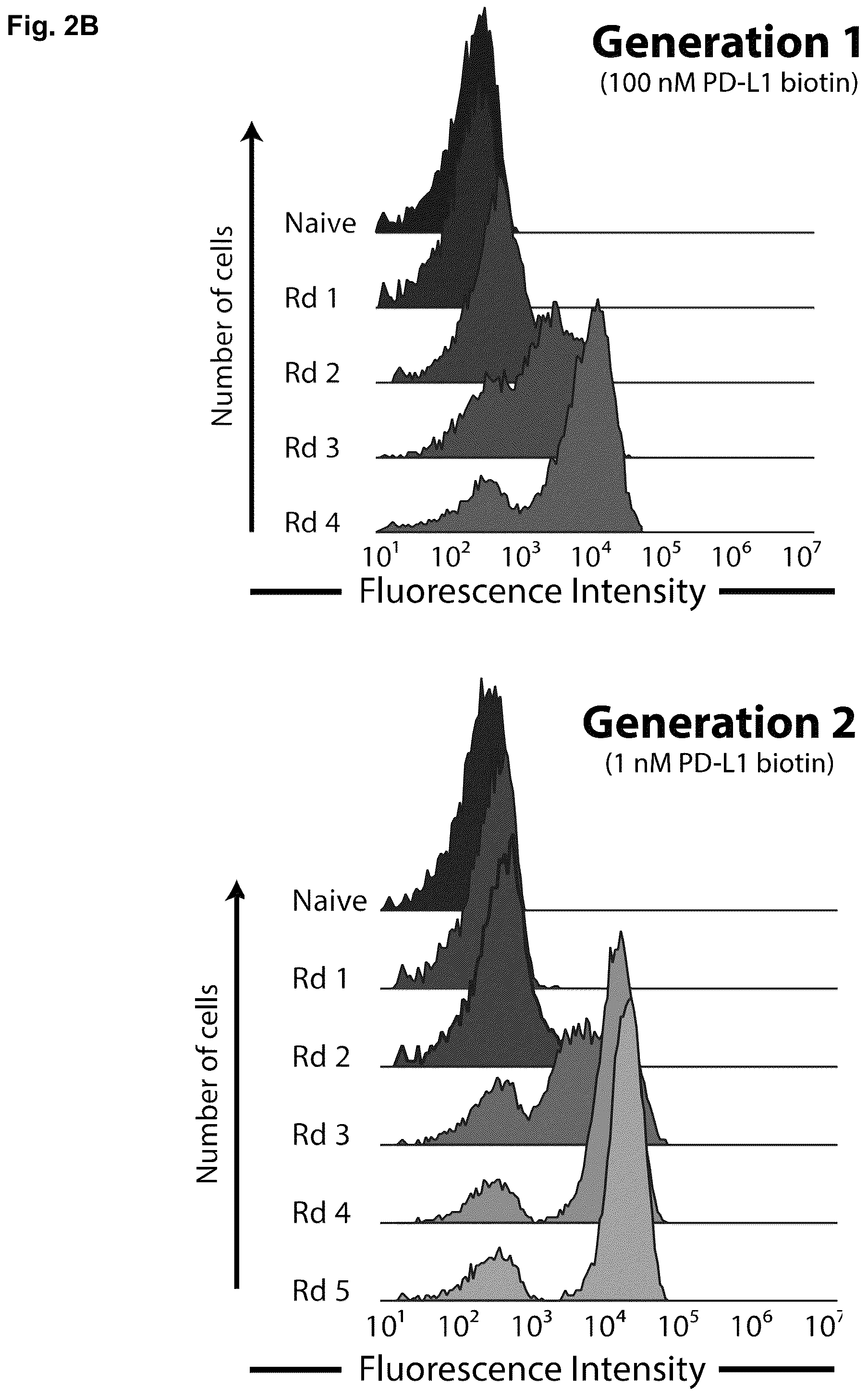 Patent US11814419 Figure 4 – High affinity PD-1 agents and methods of use
