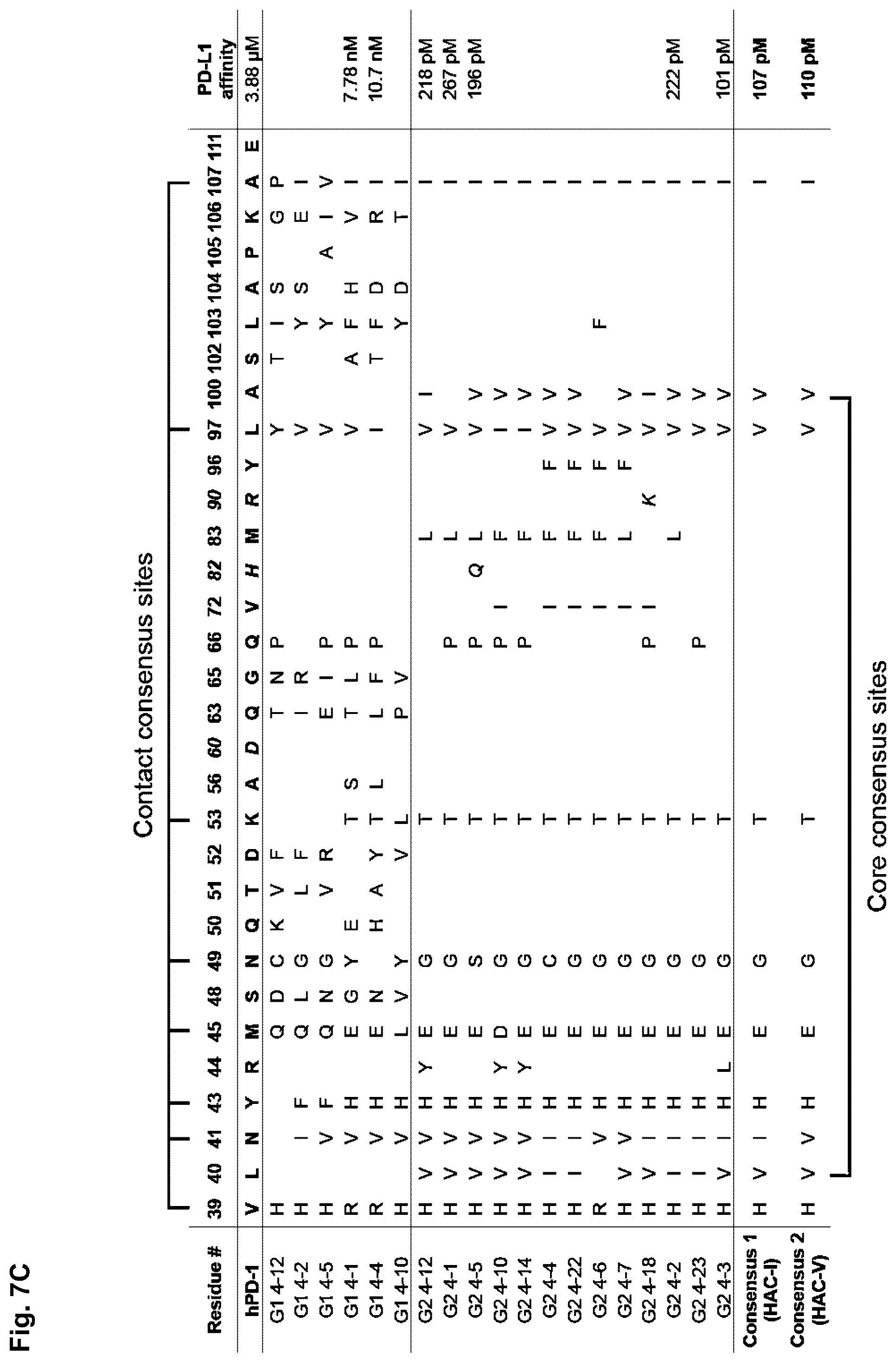 Patent US11814419 Figure 11 – High affinity PD-1 agents and methods of use