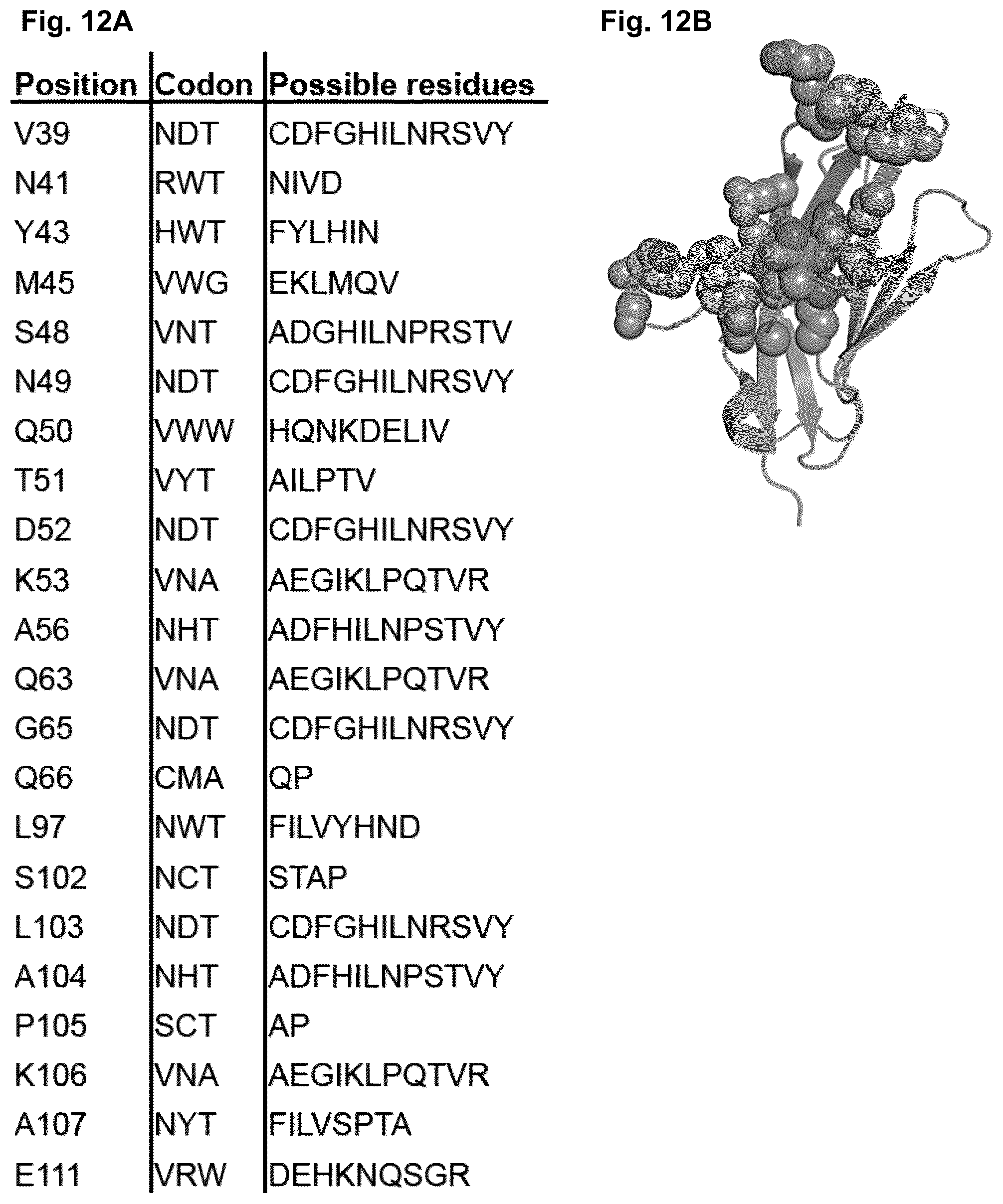 Patent US11814419 Figure 18 – High affinity PD-1 agents and methods of use