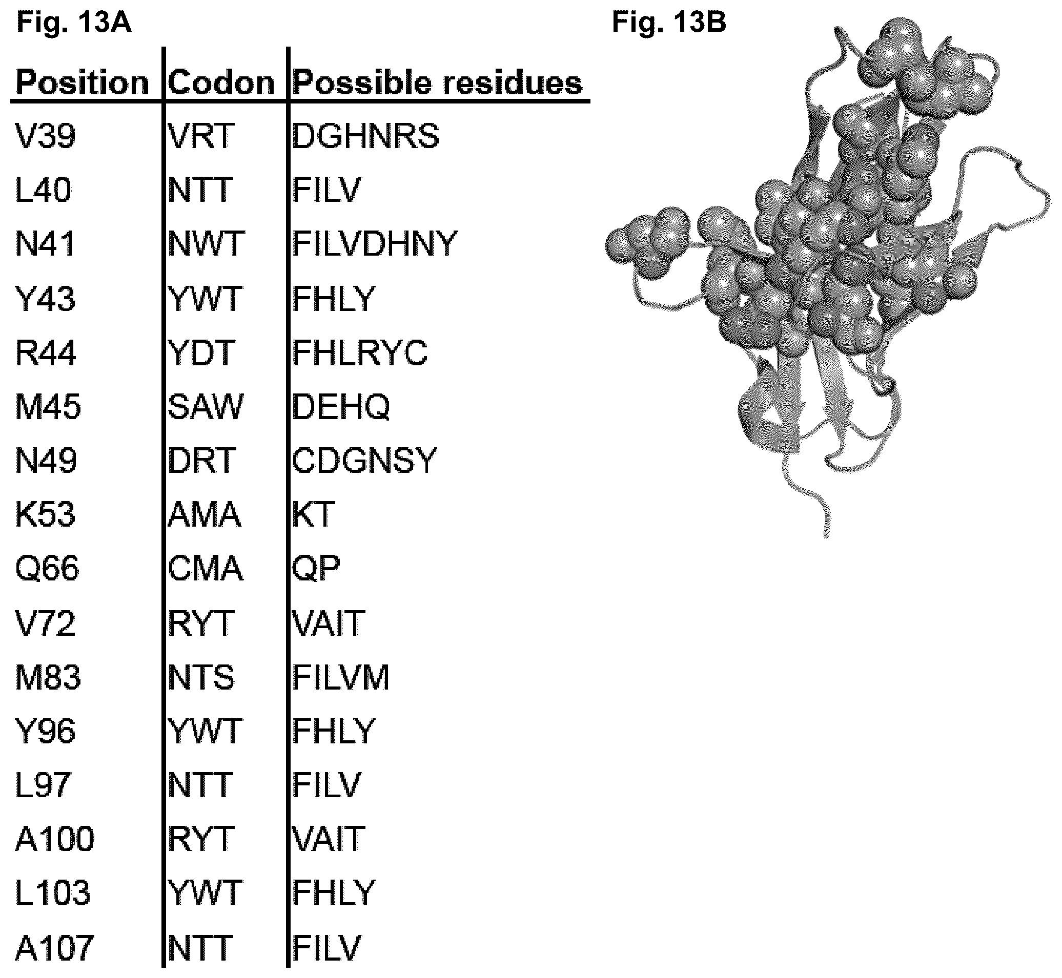 Patent US11814419 Figure 19 – High affinity PD-1 agents and methods of use