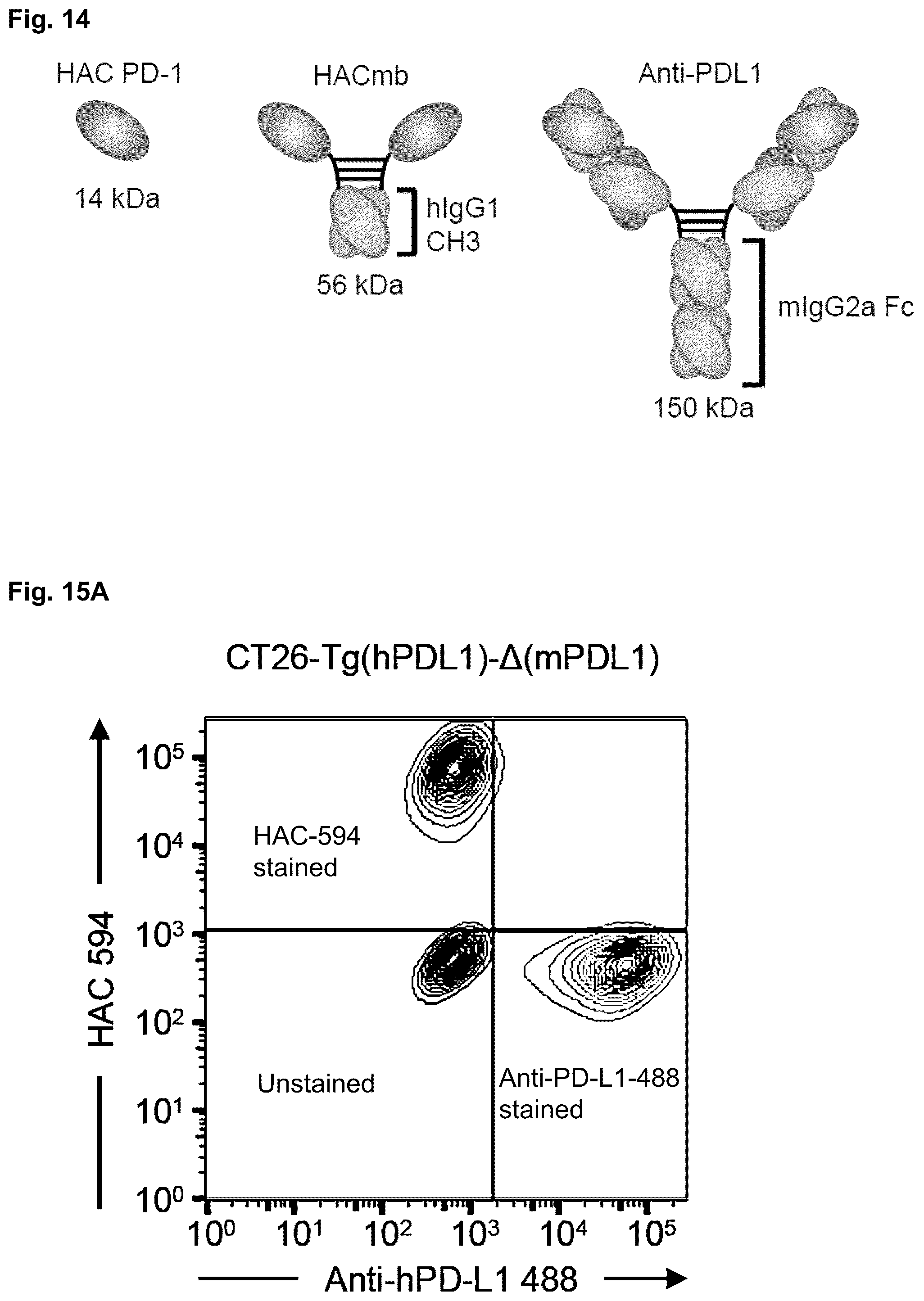 Patent US11814419 Figure 20 – High affinity PD-1 agents and methods of use