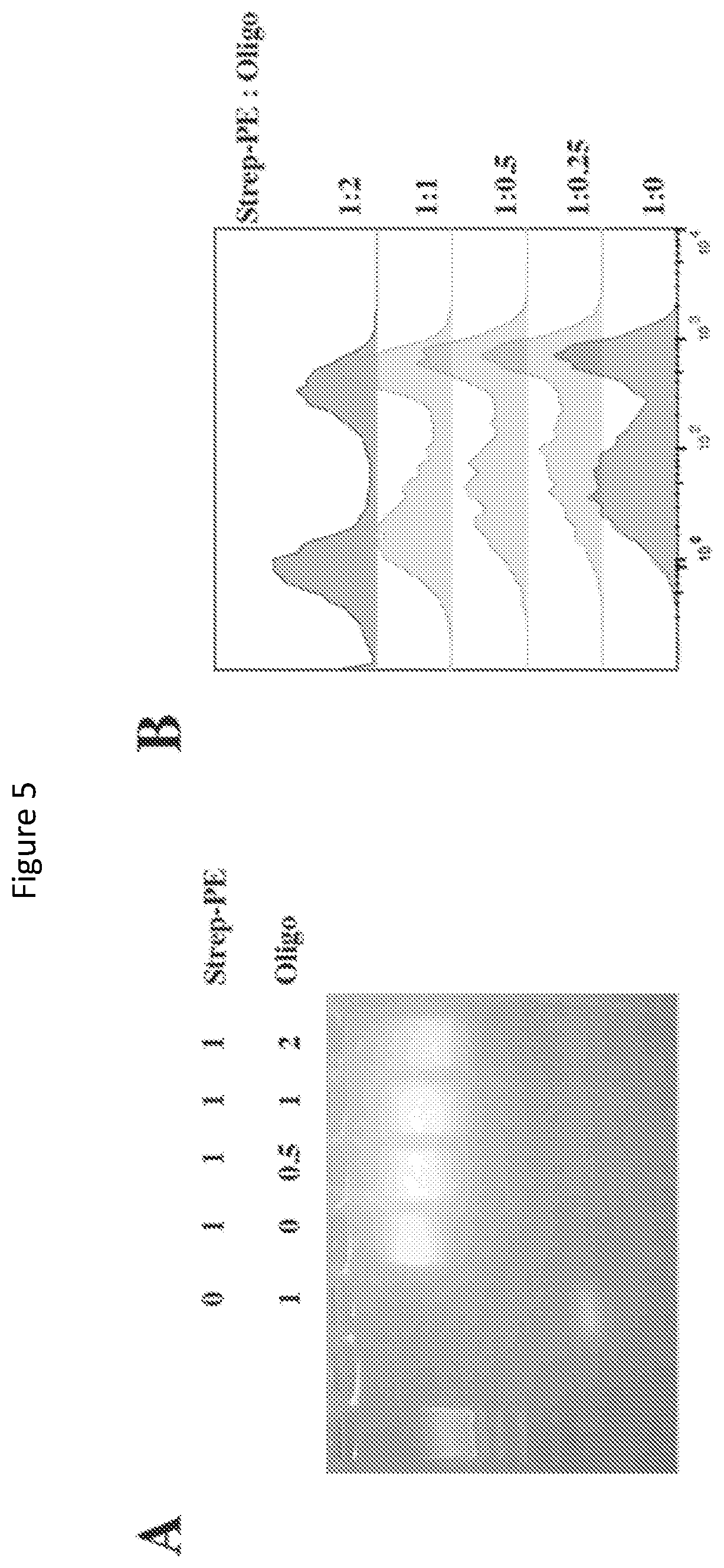 Patent US11814420 Figure 5 – Peptide deficient-MHC class I/chaperone compositions and methods