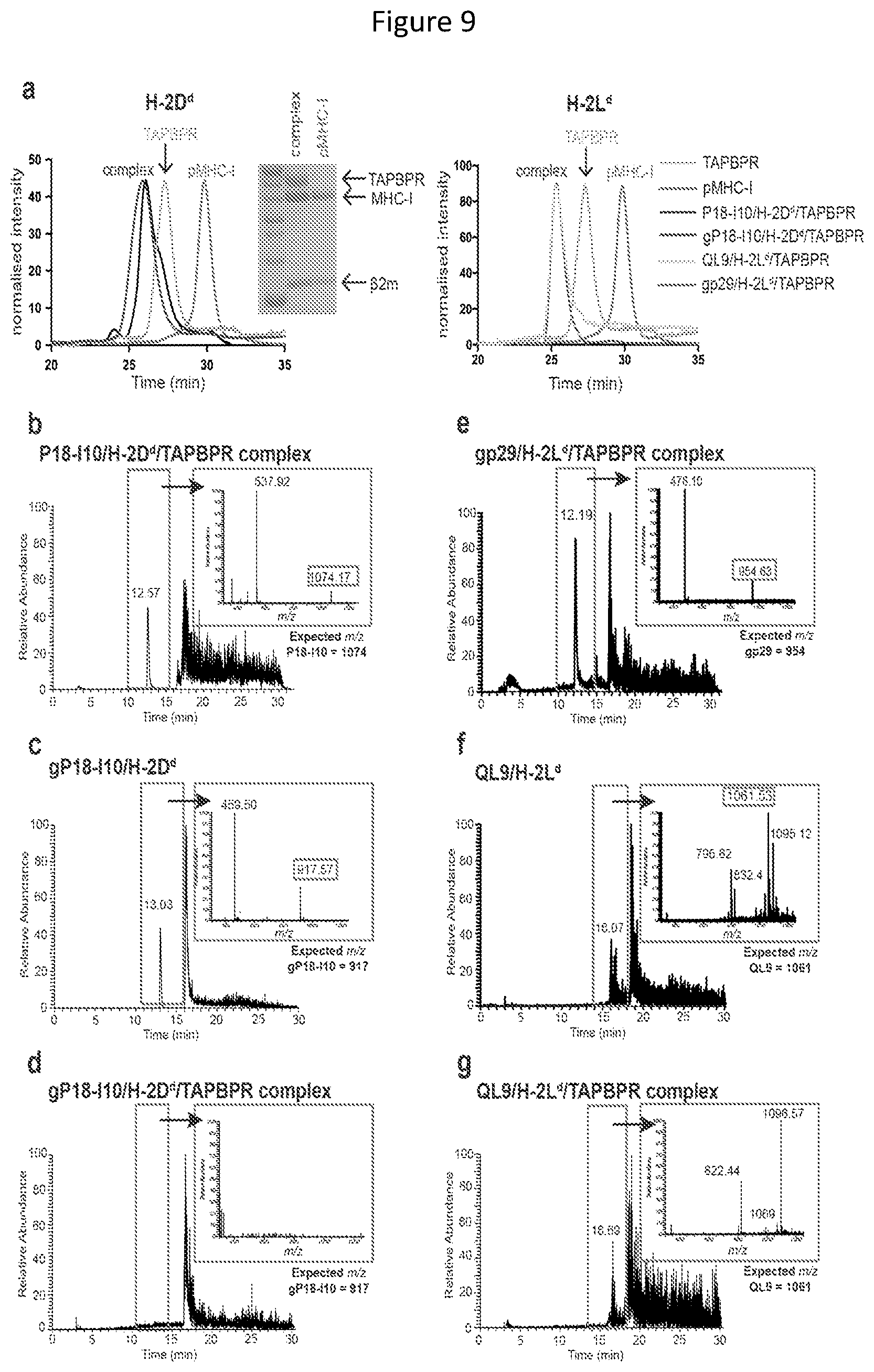 Patent US11814420 Figure 9 – Peptide deficient-MHC class I/chaperone compositions and methods