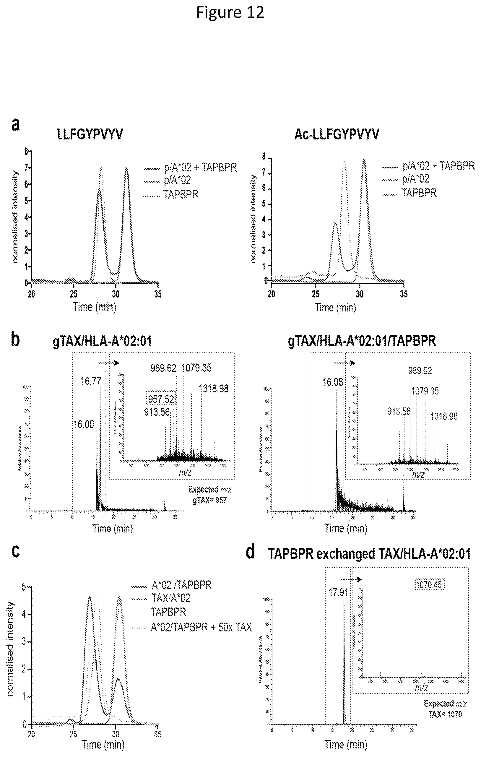 Patent US11814420 Figure 12 – Peptide deficient-MHC class I/chaperone compositions and methods