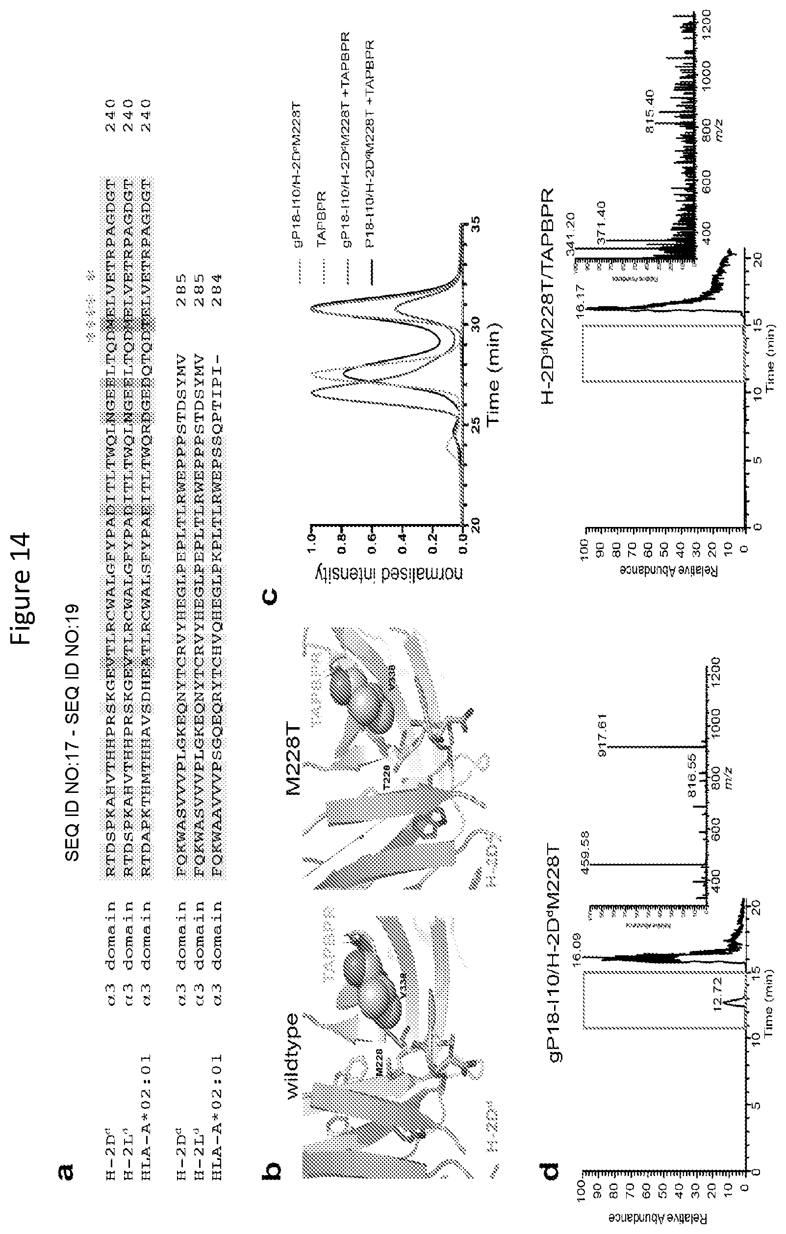 Patent US11814420 Figure 14 – Peptide deficient-MHC class I/chaperone compositions and methods