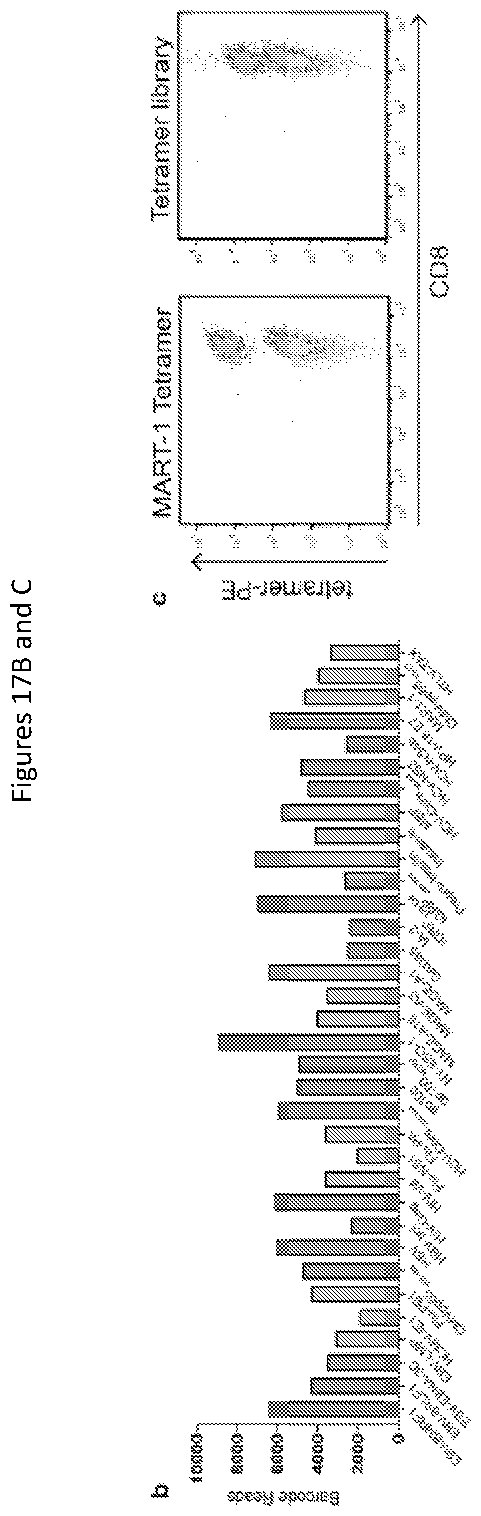 Patent US11814420 Figure 18 – Peptide deficient-MHC class I/chaperone compositions and methods