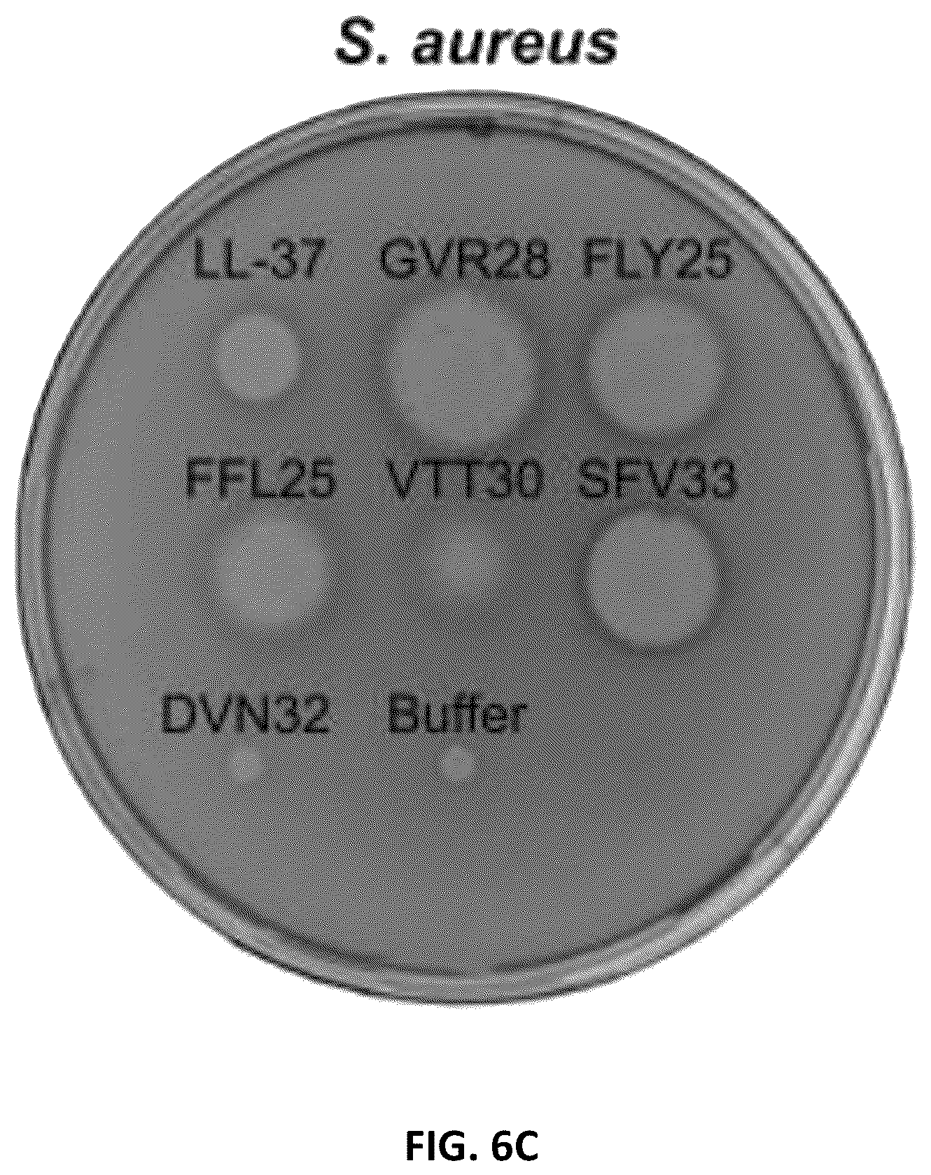 Patent US11814422 Figure 14 – Polypeptides and medical uses thereof