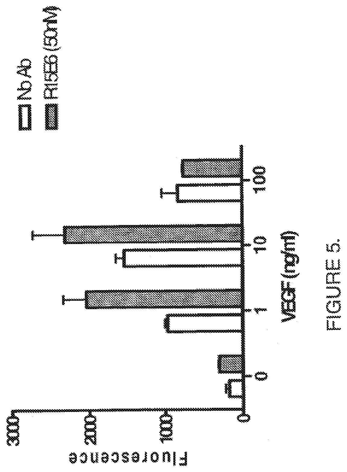 Patent US11814425 Figure 5 – Antibodies that bind human protein tyrosine phosphatase beta (HPTPbeta) and uses thereof