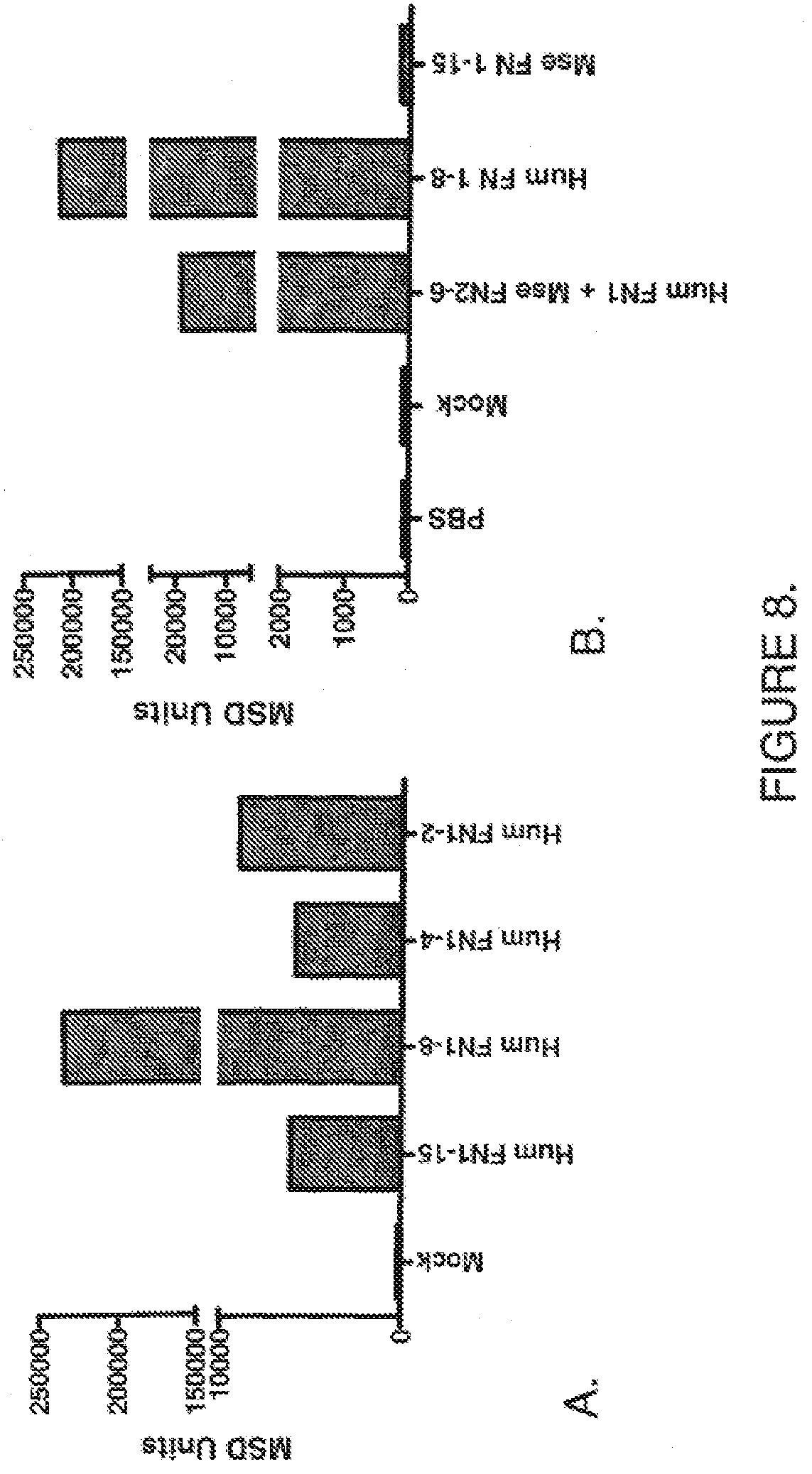 Patent US11814425 Figure 8 – Antibodies that bind human protein tyrosine phosphatase beta (HPTPbeta) and uses thereof