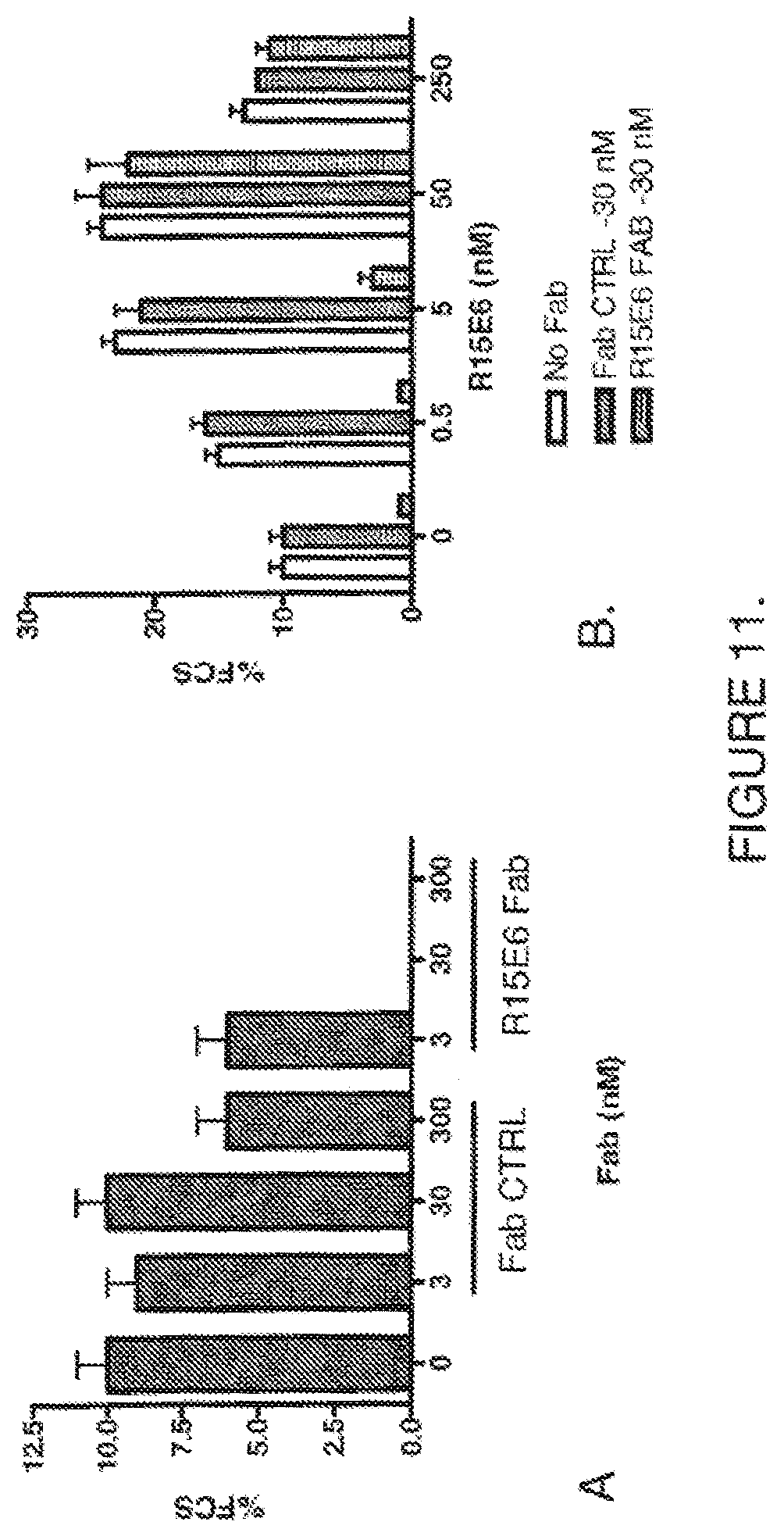 Patent US11814425 Figure 11 – Antibodies that bind human protein tyrosine phosphatase beta (HPTPbeta) and uses thereof