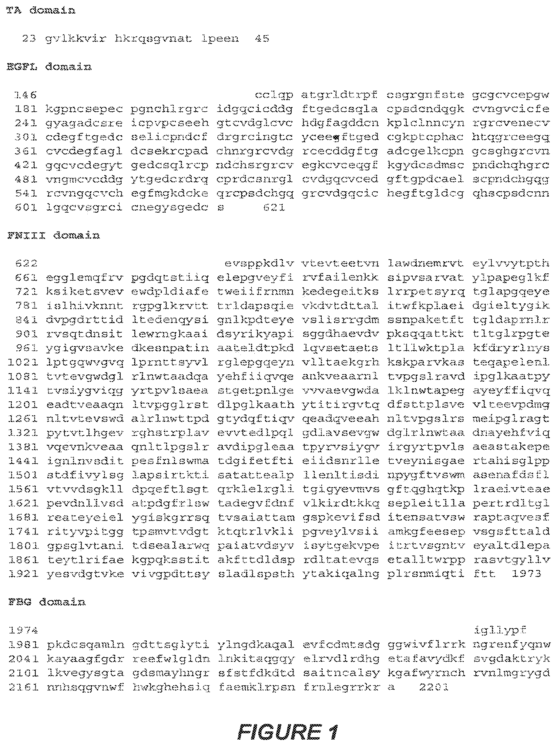 Patent US11814426 — Anti-tenascin C antibodies and uses thereof — Figure 1