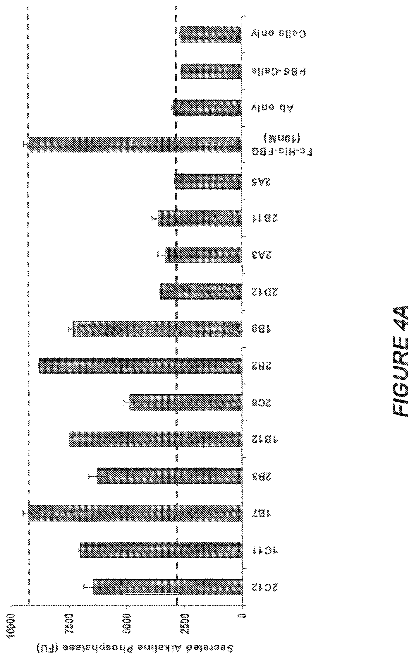 Patent US11814426 Figure 6 – Anti-tenascin C antibodies and uses thereof