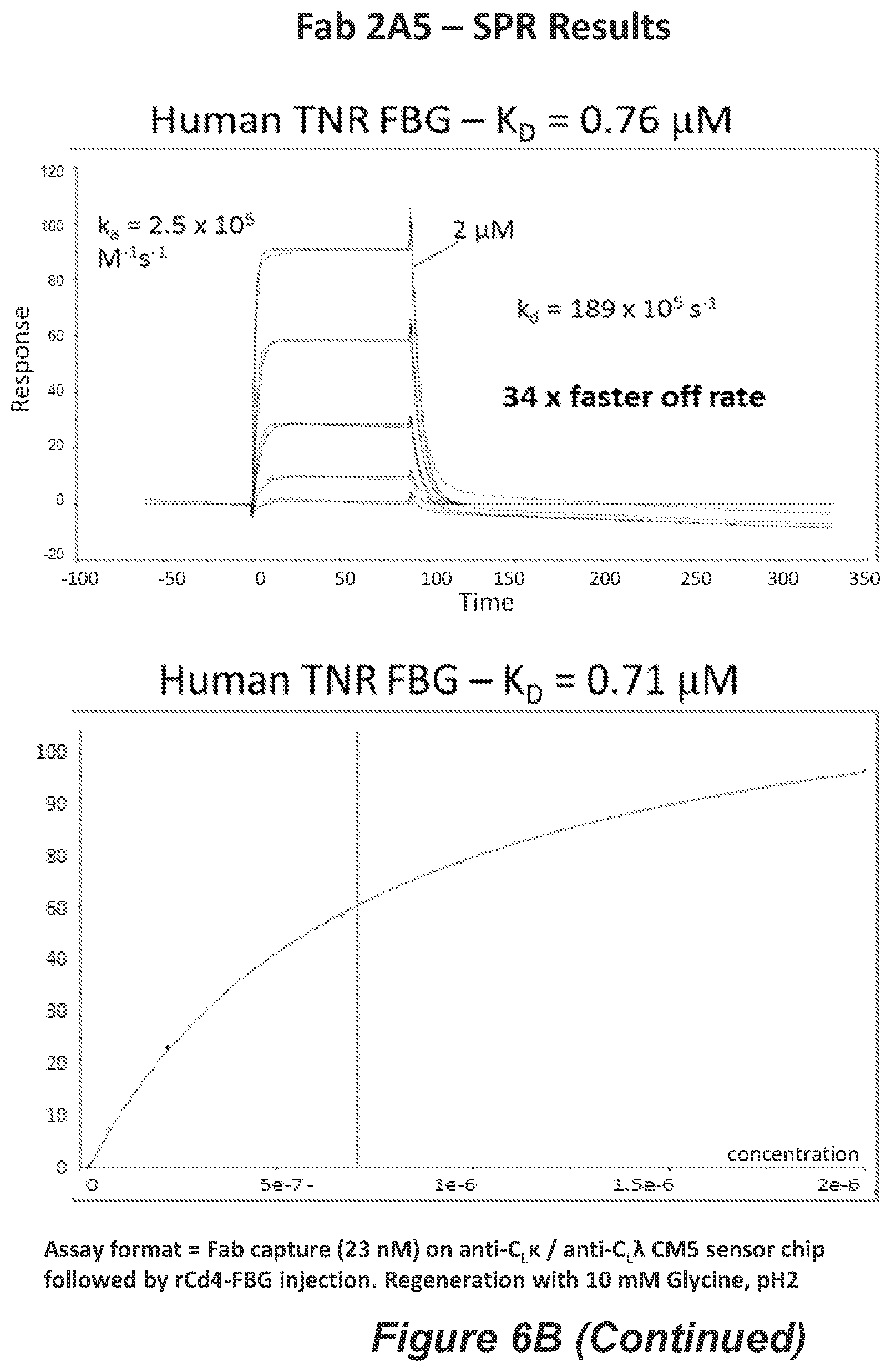 Patent US11814426 Figure 12 – Anti-tenascin C antibodies and uses thereof