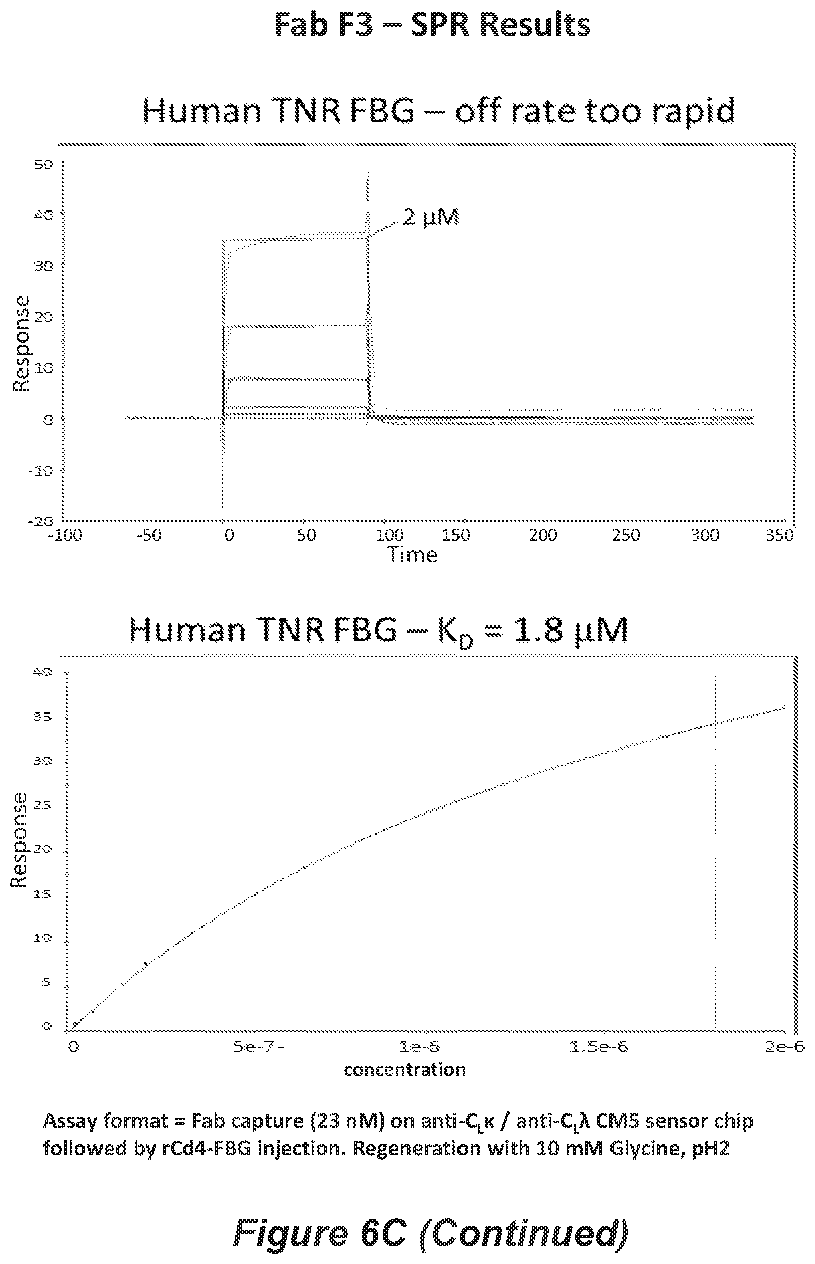 Patent US11814426 Figure 14 – Anti-tenascin C antibodies and uses thereof