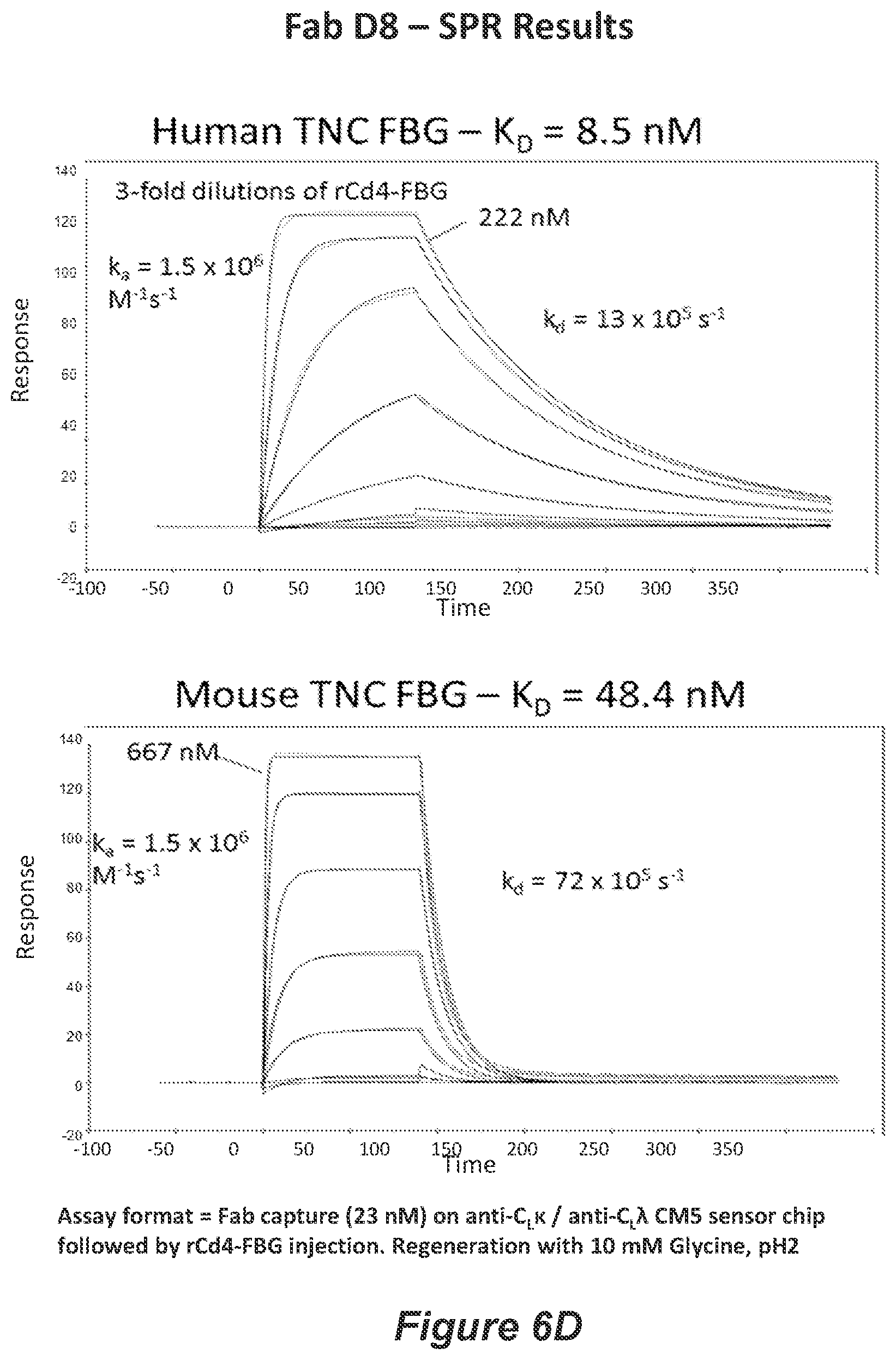 Patent US11814426 Figure 15 – Anti-tenascin C antibodies and uses thereof