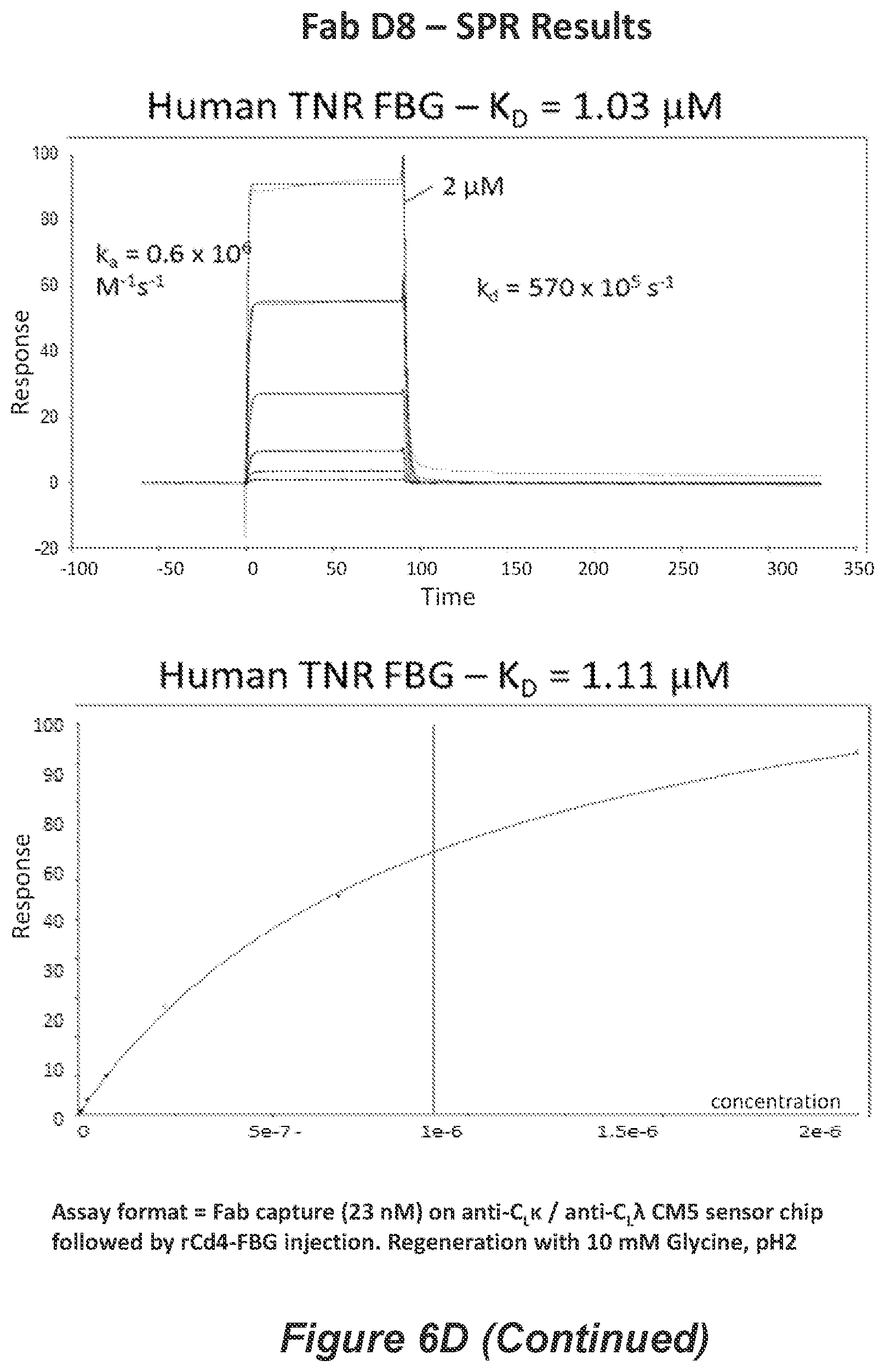 Patent US11814426 Figure 16 – Anti-tenascin C antibodies and uses thereof