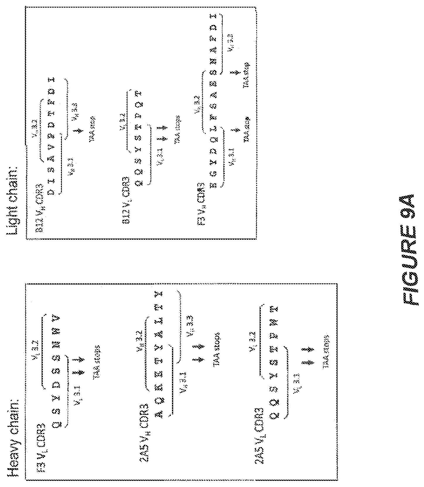 Patent US11814426 Figure 19 – Anti-tenascin C antibodies and uses thereof