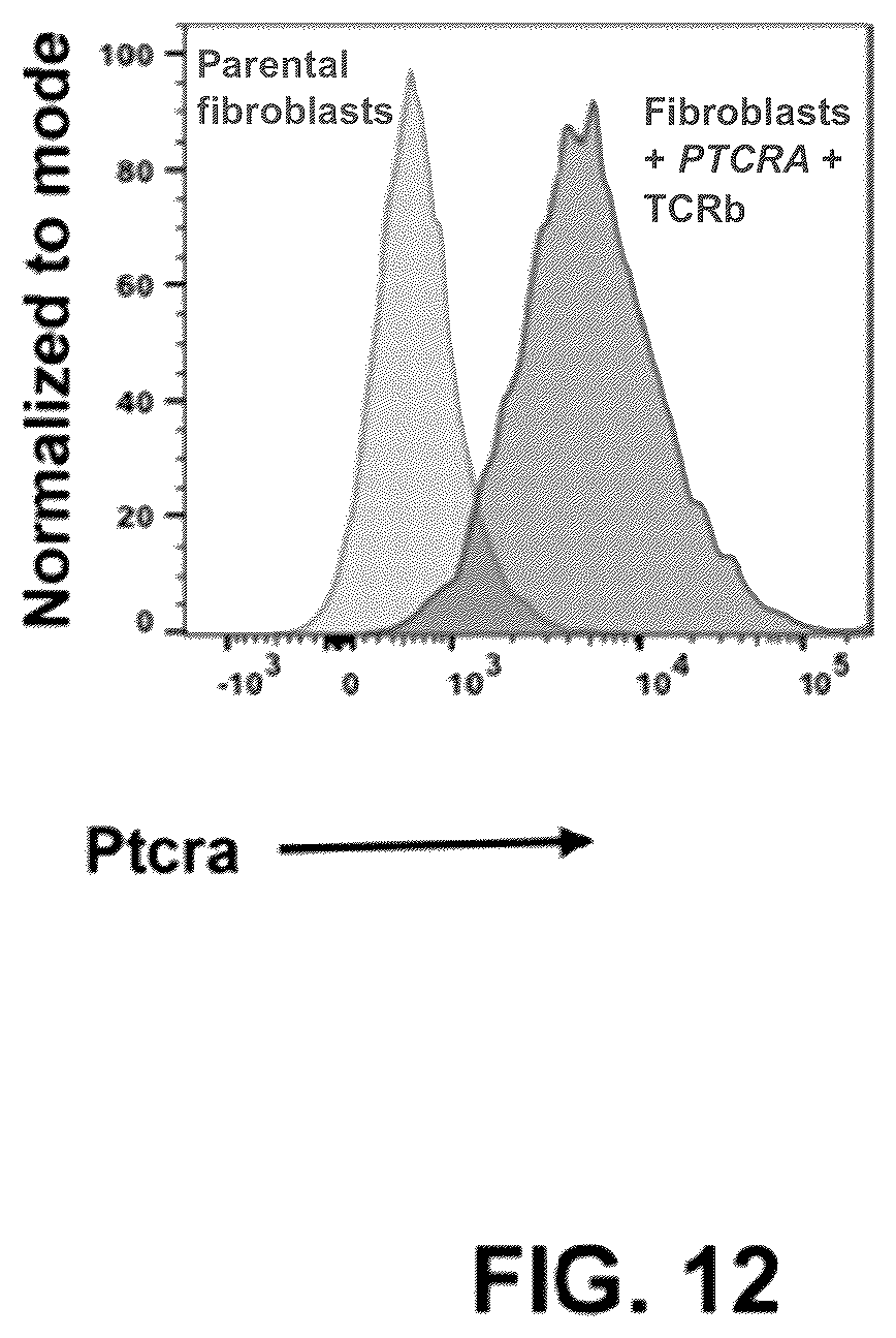Patent US11814428 Figure 12 – Anti-PTCRA antibody-drug conjugates and uses thereof
