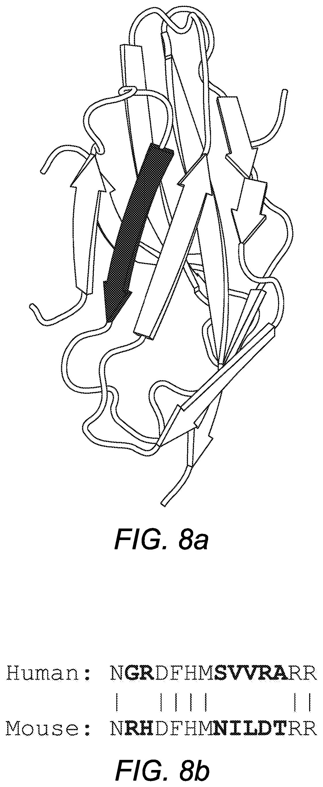 Patent US11814429 Figure 8 – Single domain antibodies to programmed cell death (PD-1)