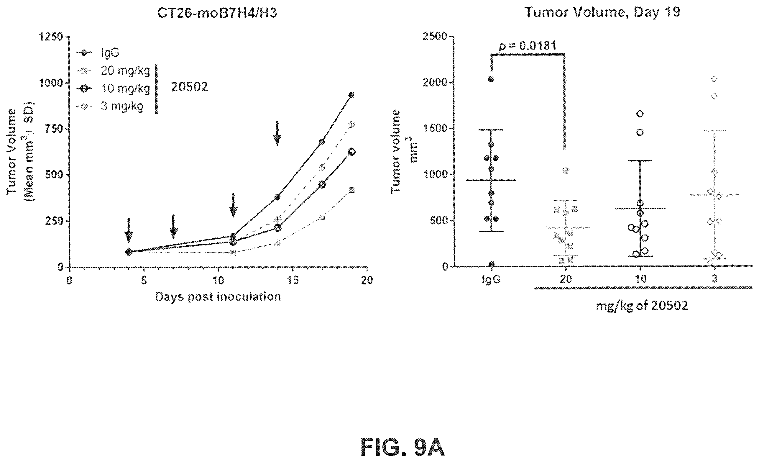 Patent US11814431 Figure 15 – B7-H4 antibodies and methods of use thereof