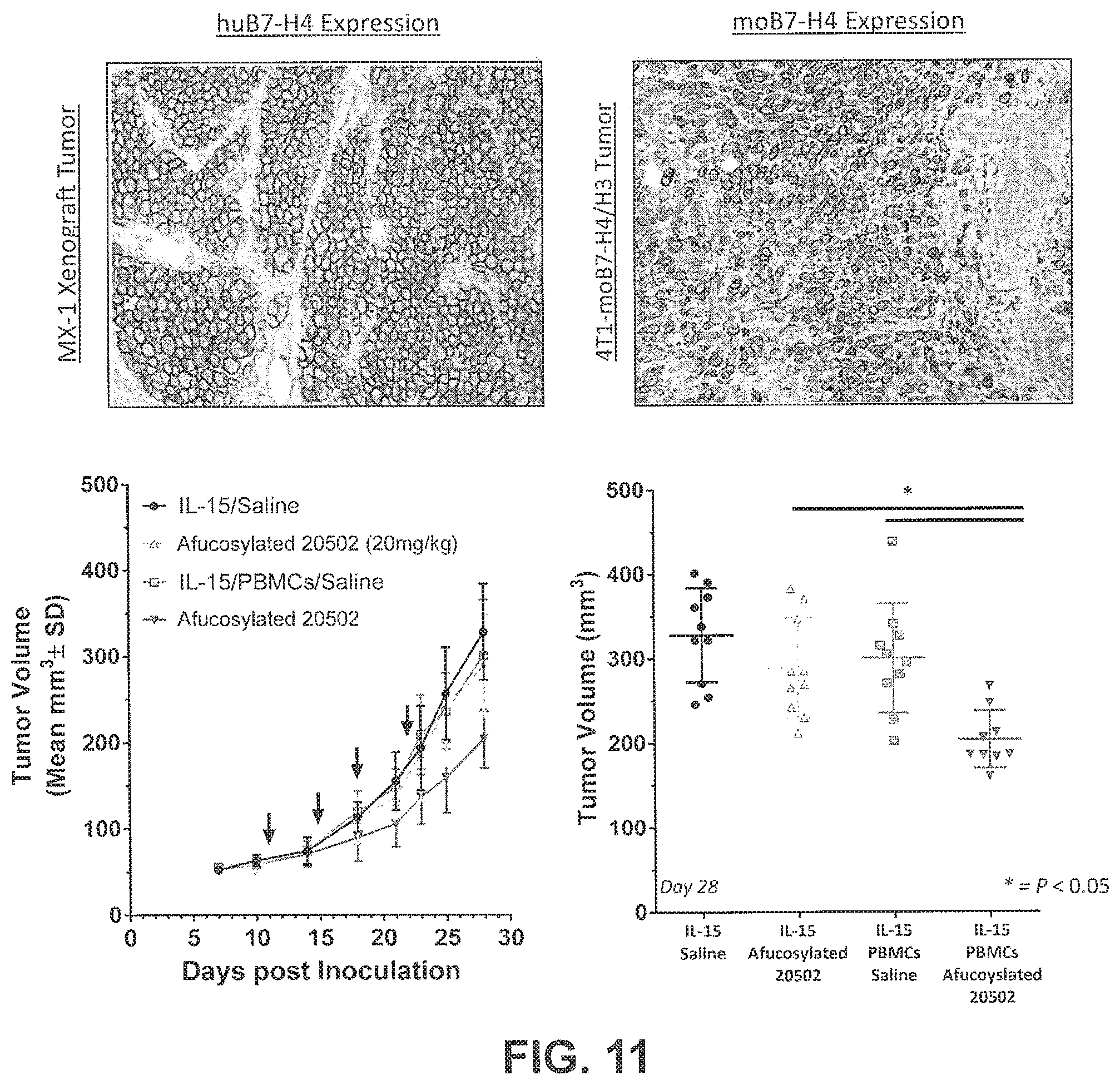 Patent US11814431 Figure 18 – B7-H4 antibodies and methods of use thereof