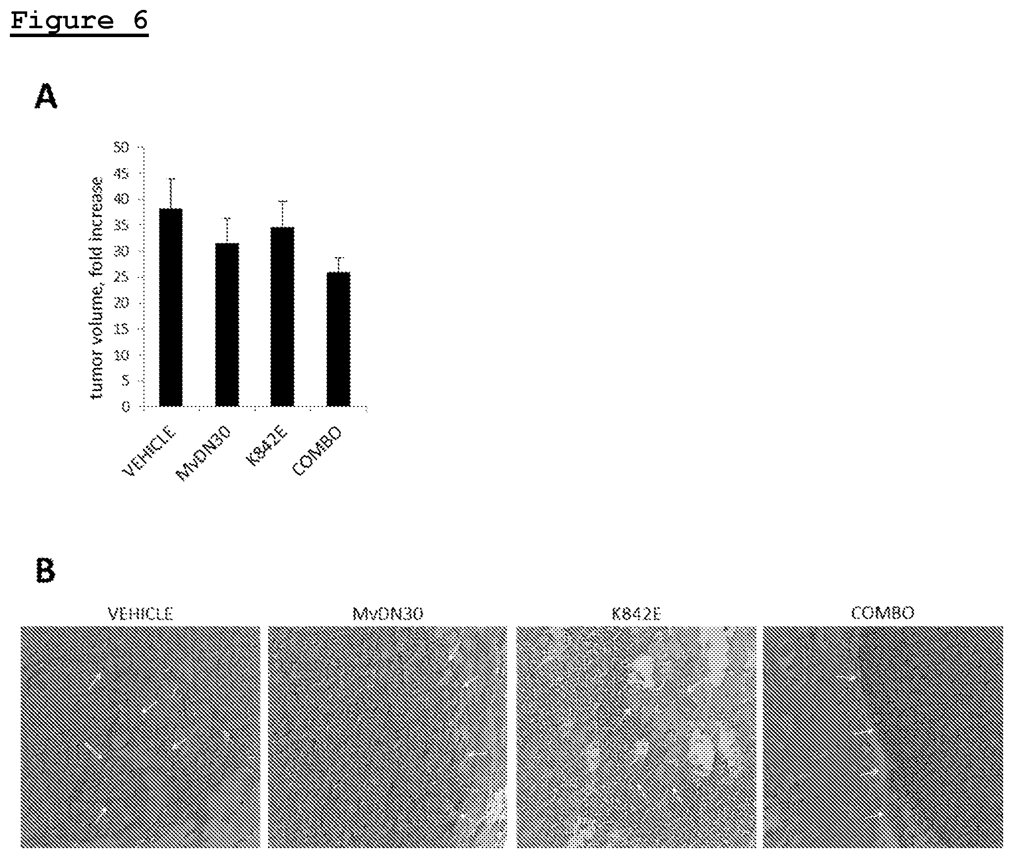 Patent US11814433 Figure 5 – Combination of anti-HGFR antibody and HEGFR for the treatment of a tumor and/or metastasis