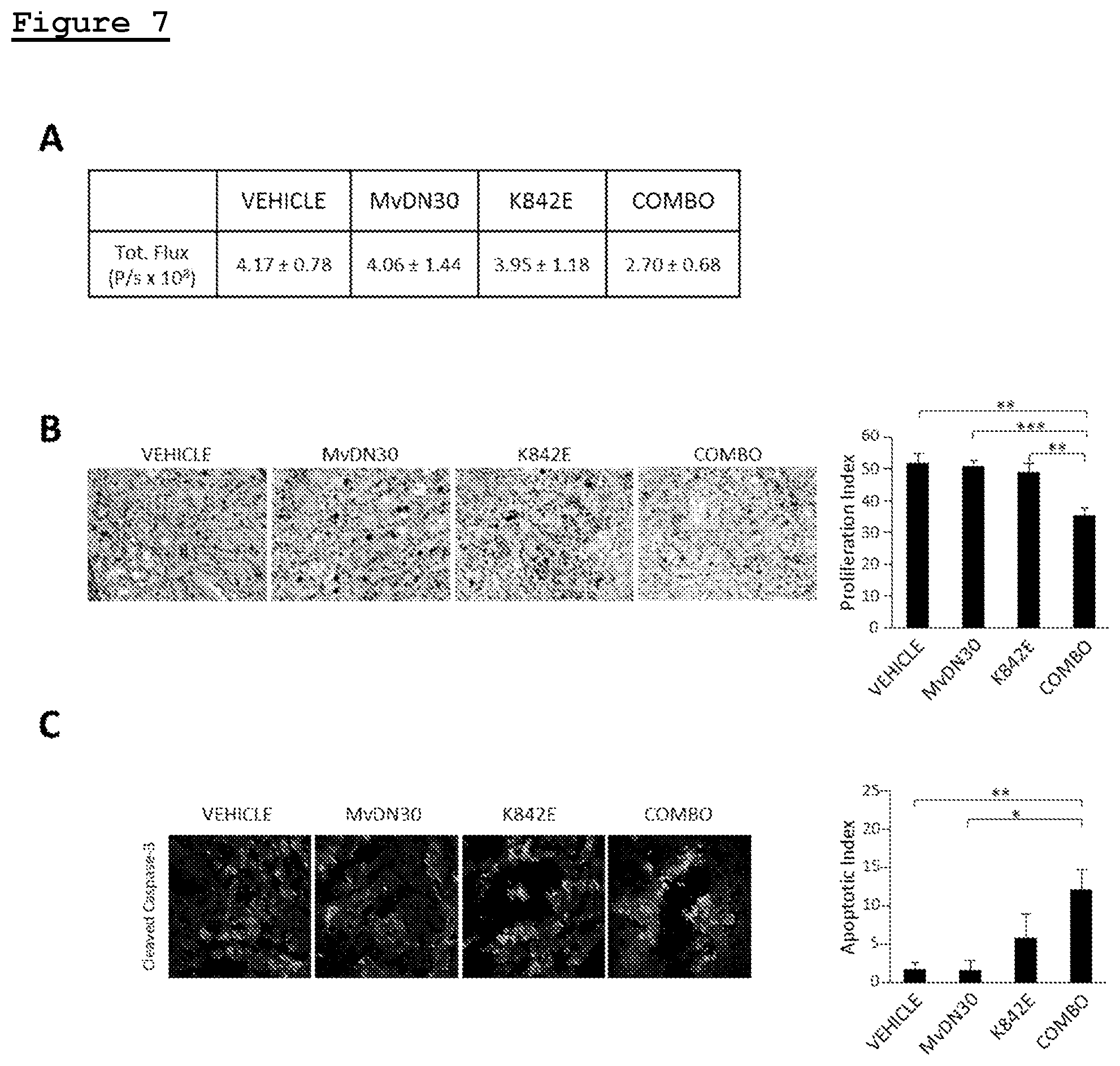 Patent US11814433 Figure 6 – Combination of anti-HGFR antibody and HEGFR for the treatment of a tumor and/or metastasis