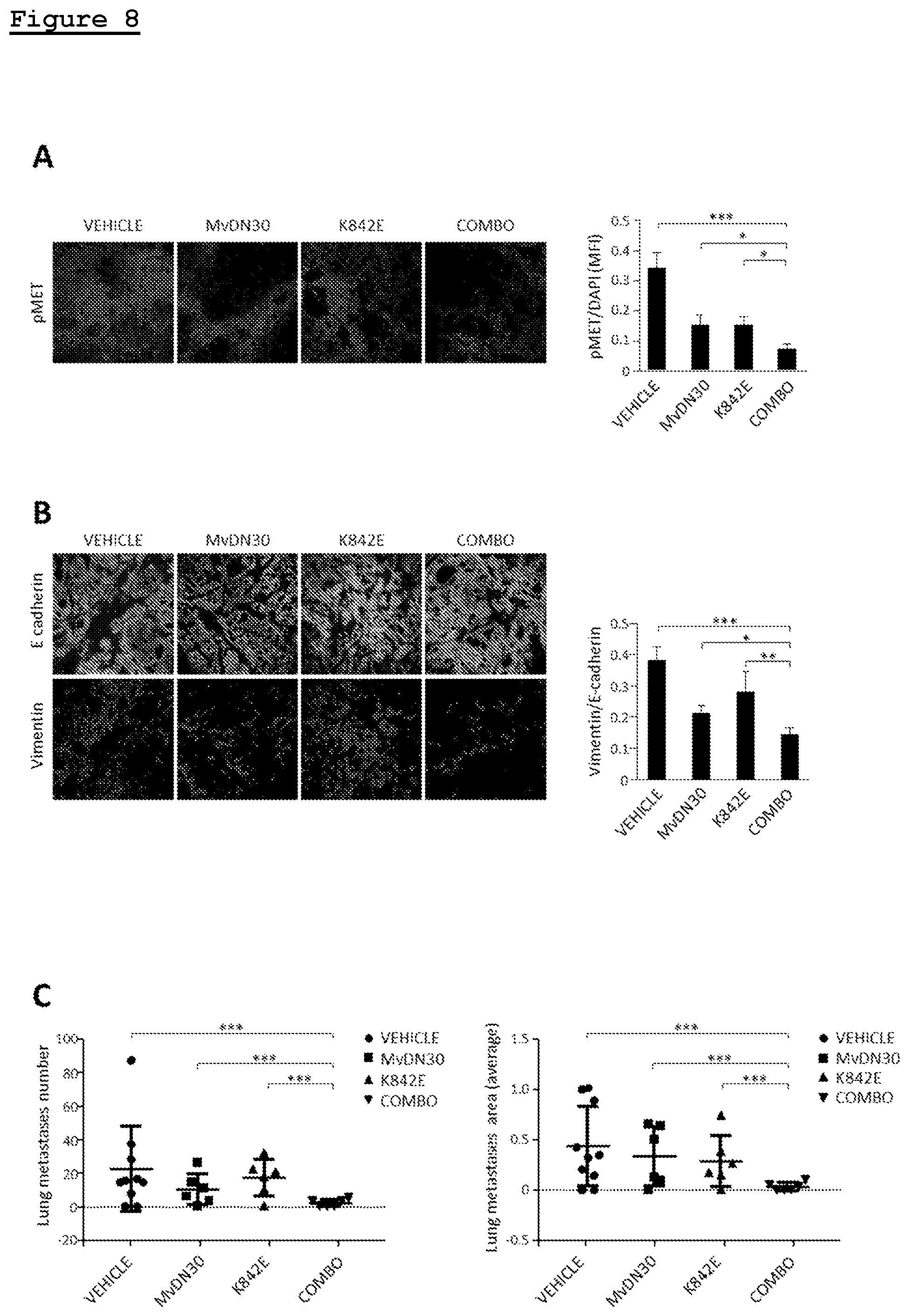 Patent US11814433 Figure 7 – Combination of anti-HGFR antibody and HEGFR for the treatment of a tumor and/or metastasis