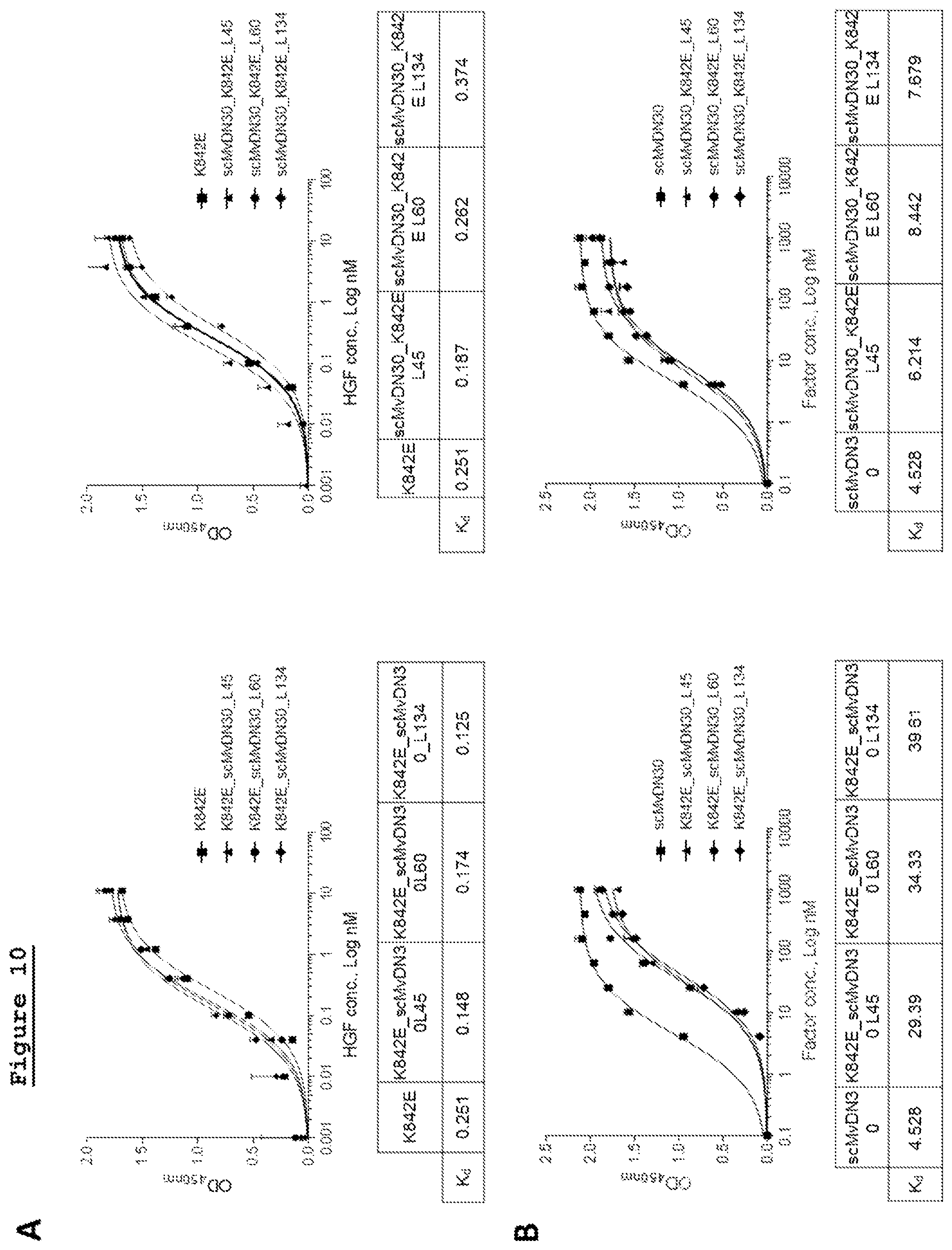 Patent US11814433 Figure 9 – Combination of anti-HGFR antibody and HEGFR for the treatment of a tumor and/or metastasis
