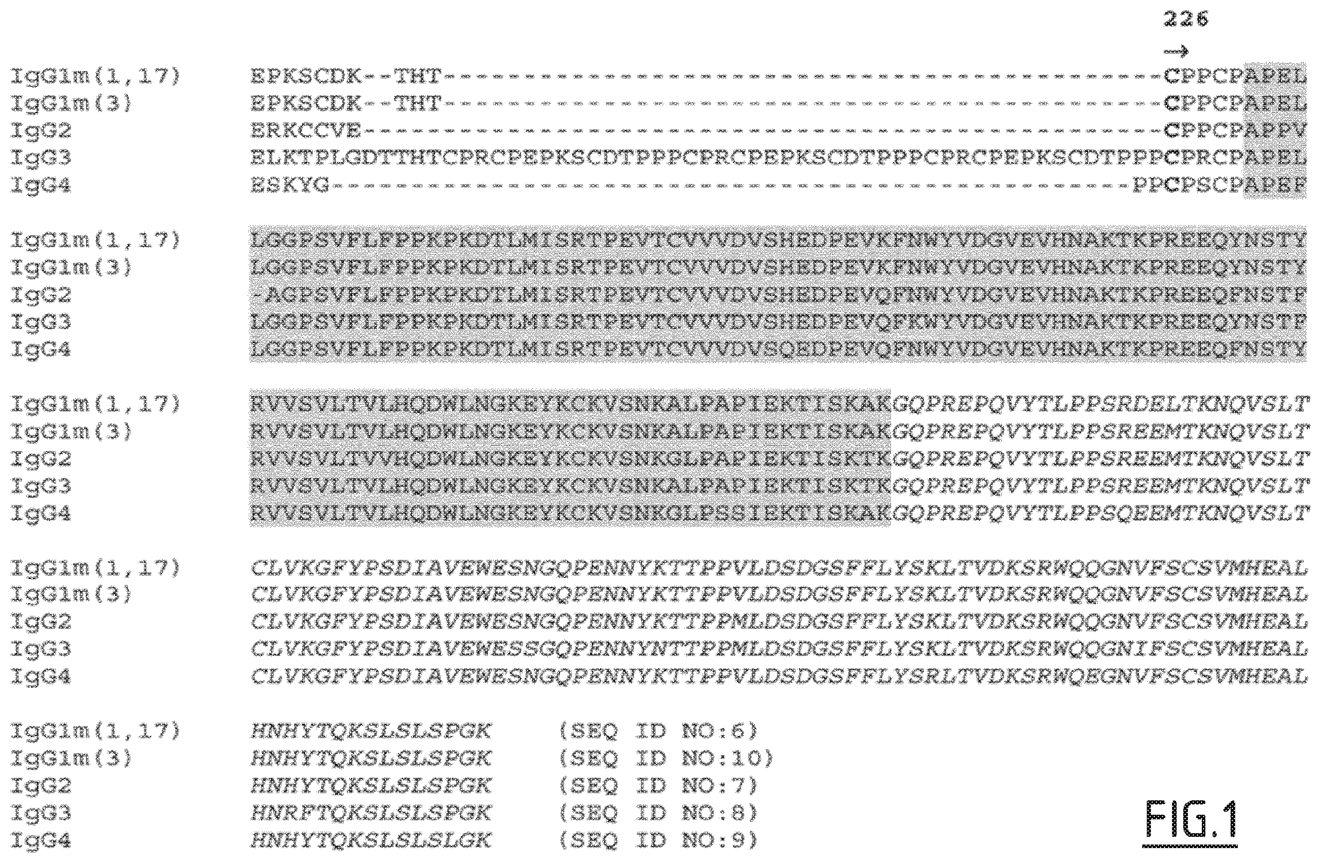 Patent US11814438 Figure 1 – Fc mutants with improved functional activity