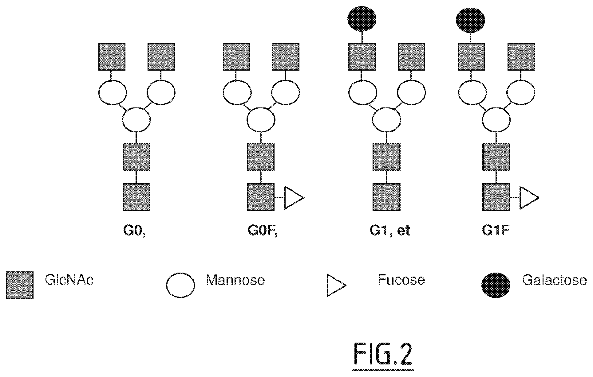 Patent US11814438 Figure 2 – Fc mutants with improved functional activity