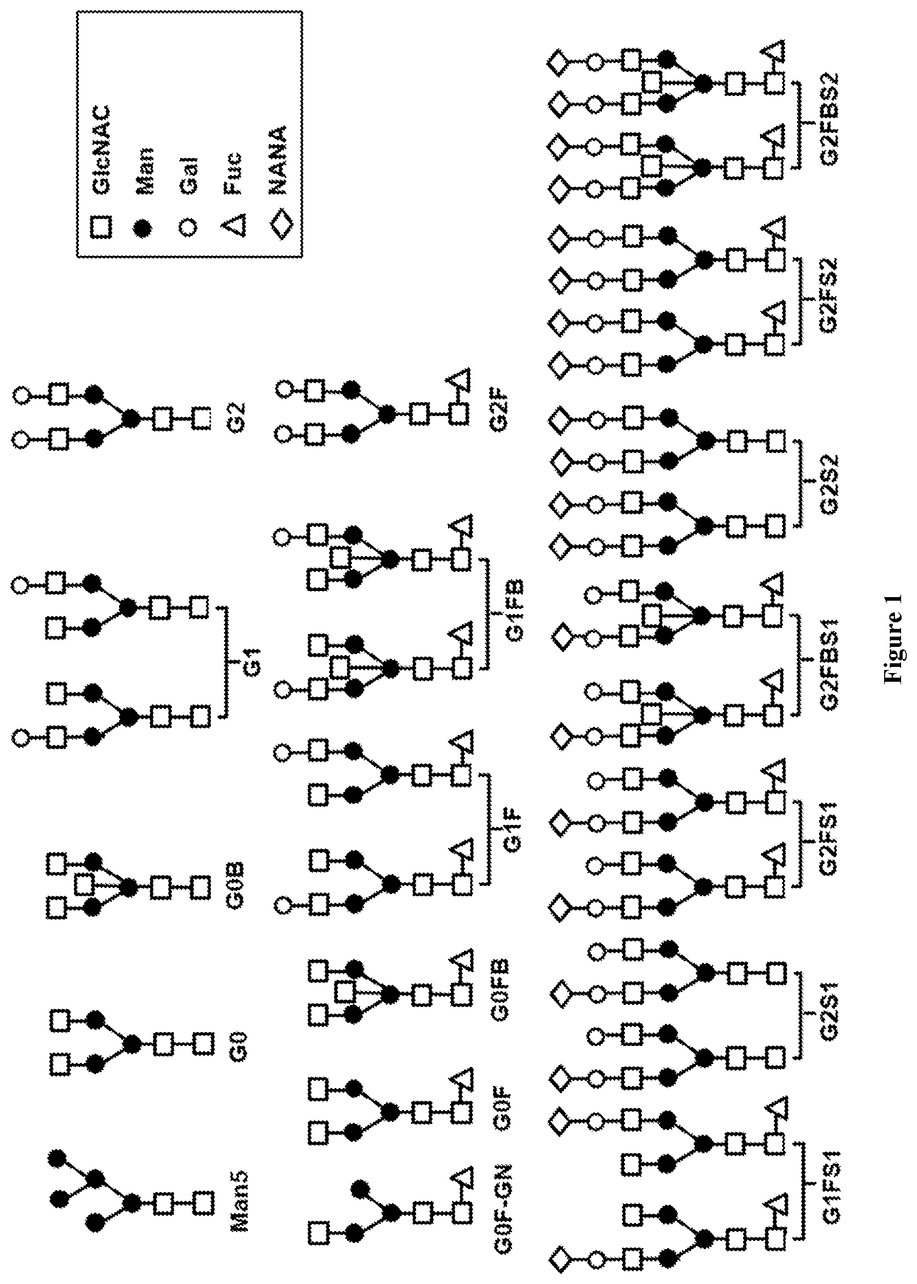 Patent US11814439 Figure 1 – Anti-CD20 antibody compositions