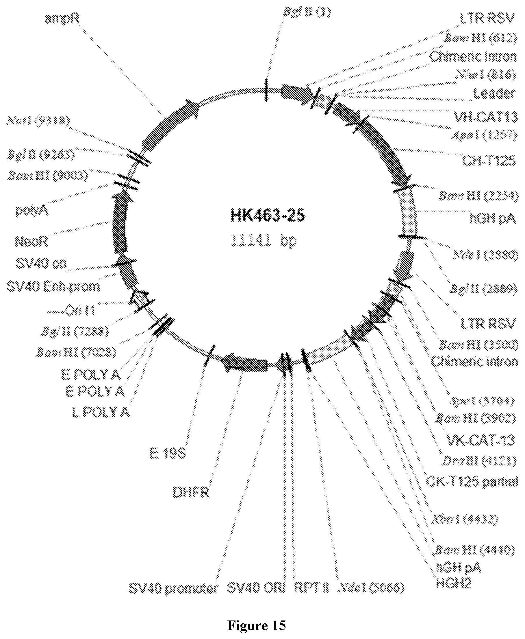 Patent US11814439 Figure 17 – Anti-CD20 antibody compositions