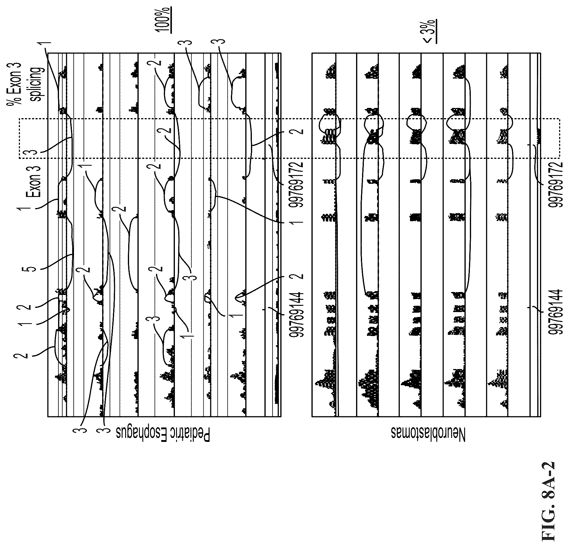 Patent US11814440 Figure 9 – Glypican 2 as a cancer marker and therapeutic target