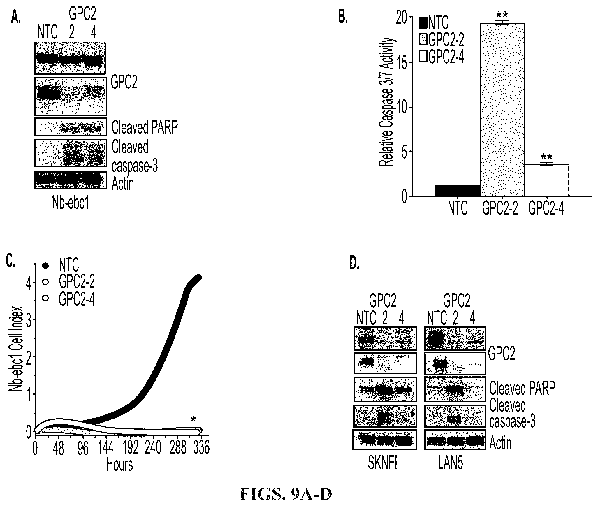 Patent US11814440 Figure 11 – Glypican 2 as a cancer marker and therapeutic target