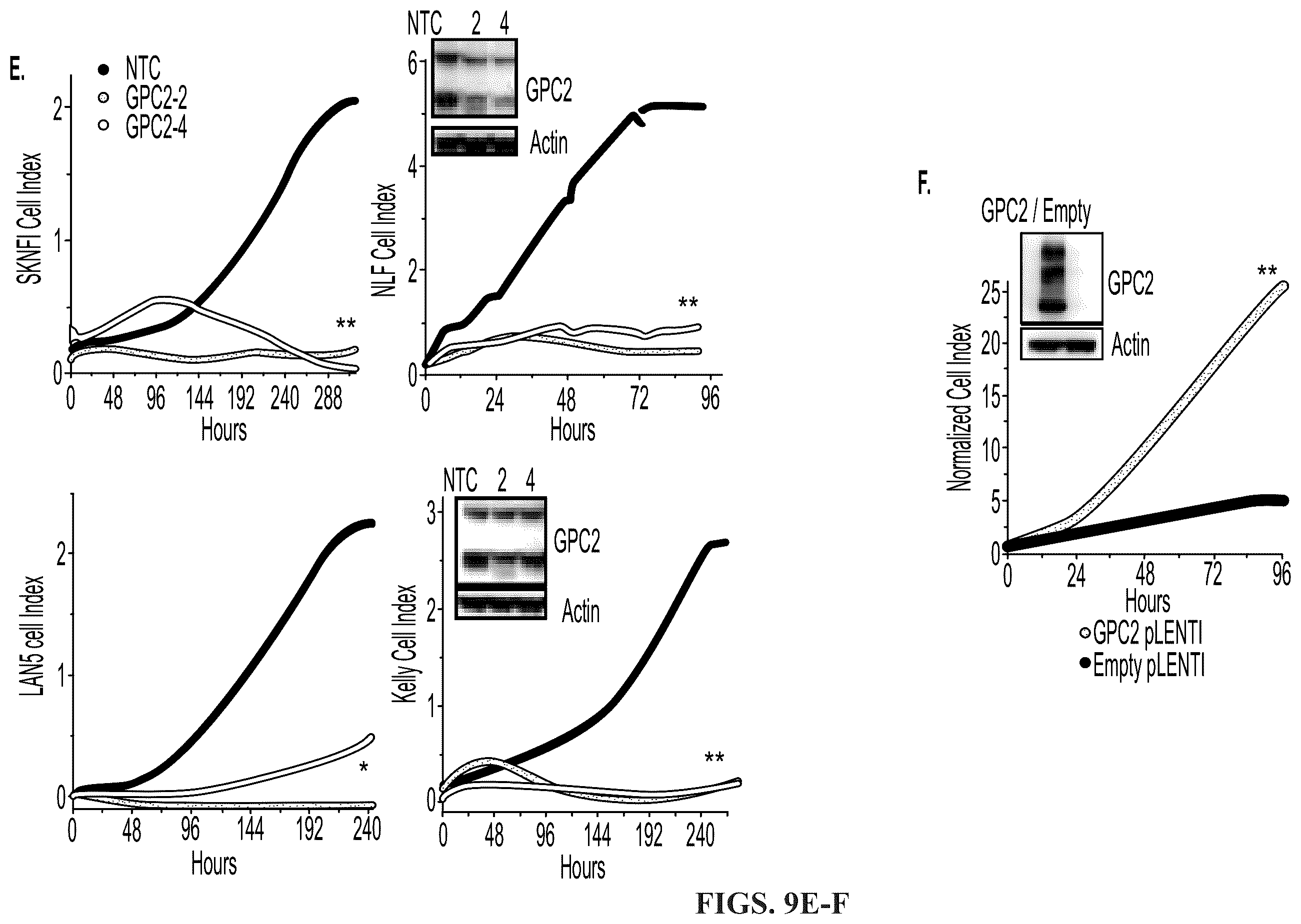 Patent US11814440 Figure 12 – Glypican 2 as a cancer marker and therapeutic target