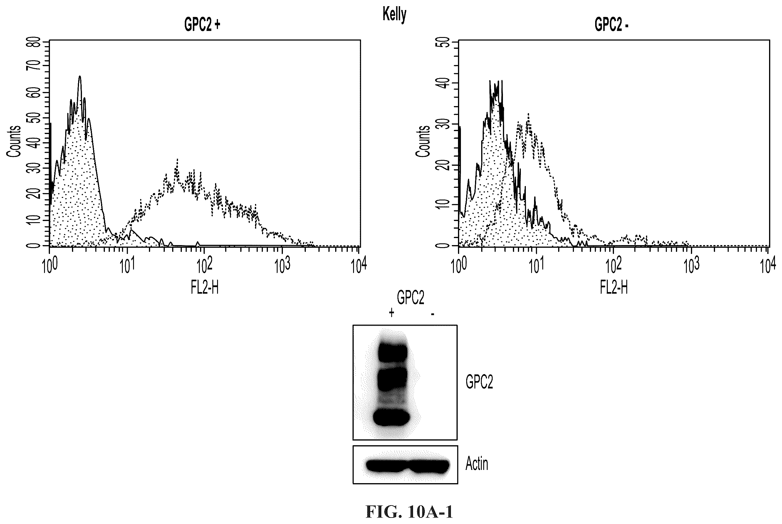 Patent US11814440 Figure 13 – Glypican 2 as a cancer marker and therapeutic target