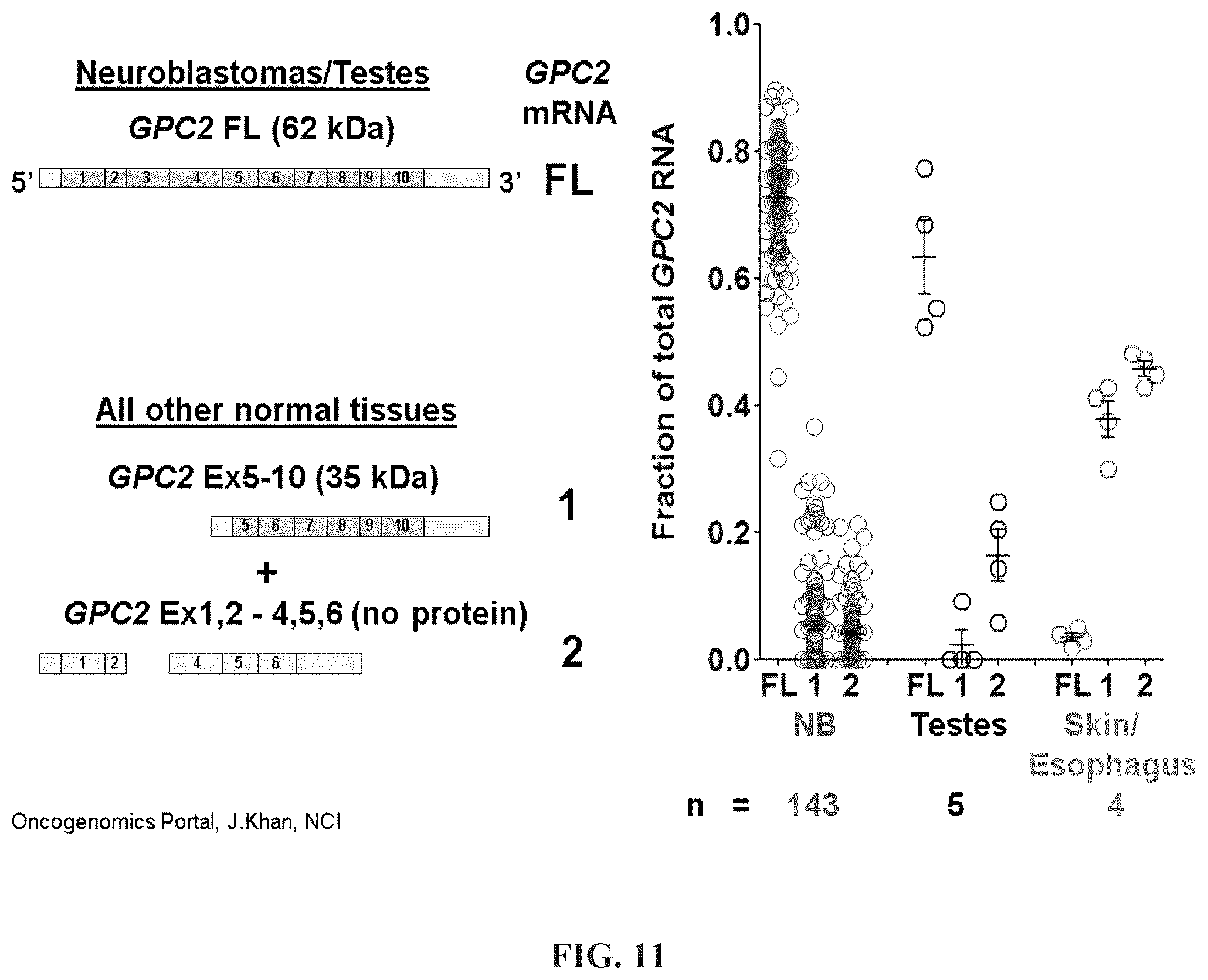 Patent US11814440 Figure 17 – Glypican 2 as a cancer marker and therapeutic target